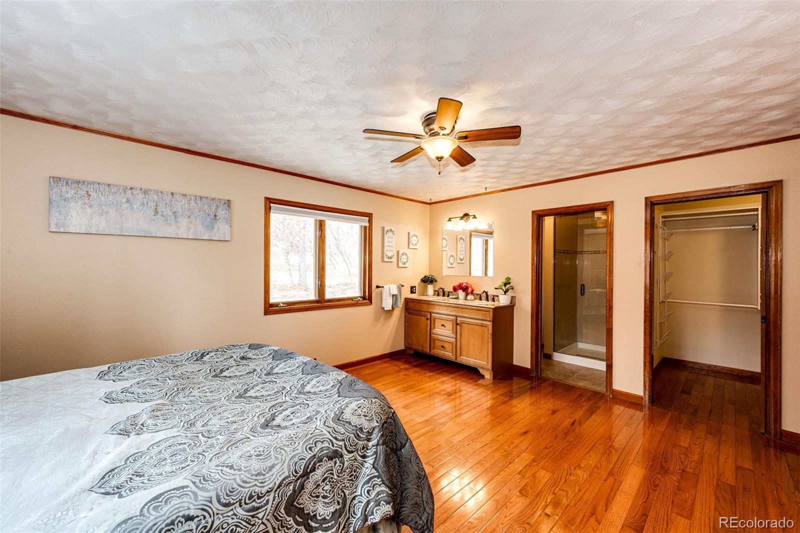 MLS Image #16 for 530  windmill road,castle rock, Colorado