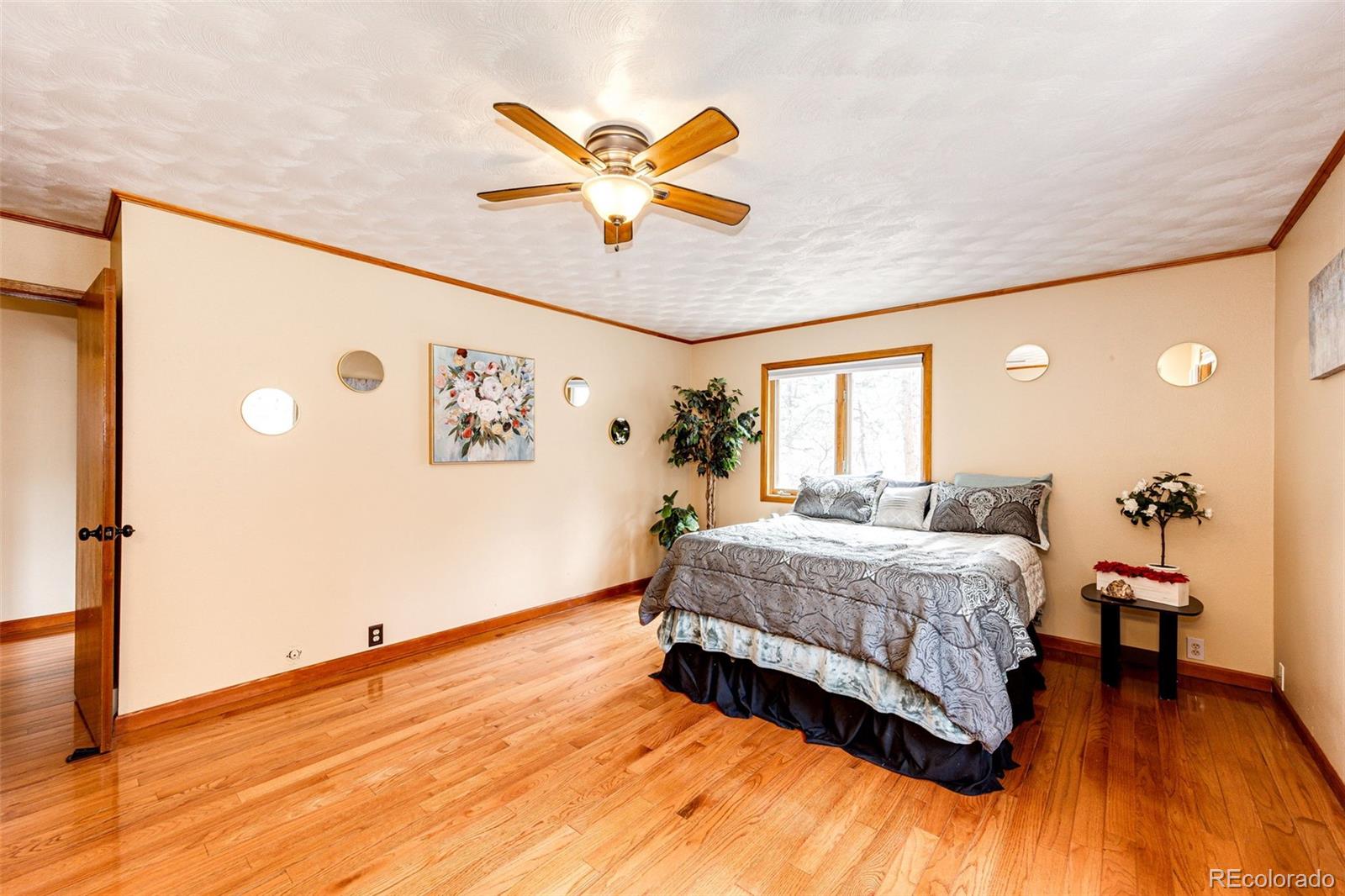 MLS Image #17 for 530  windmill road,castle rock, Colorado