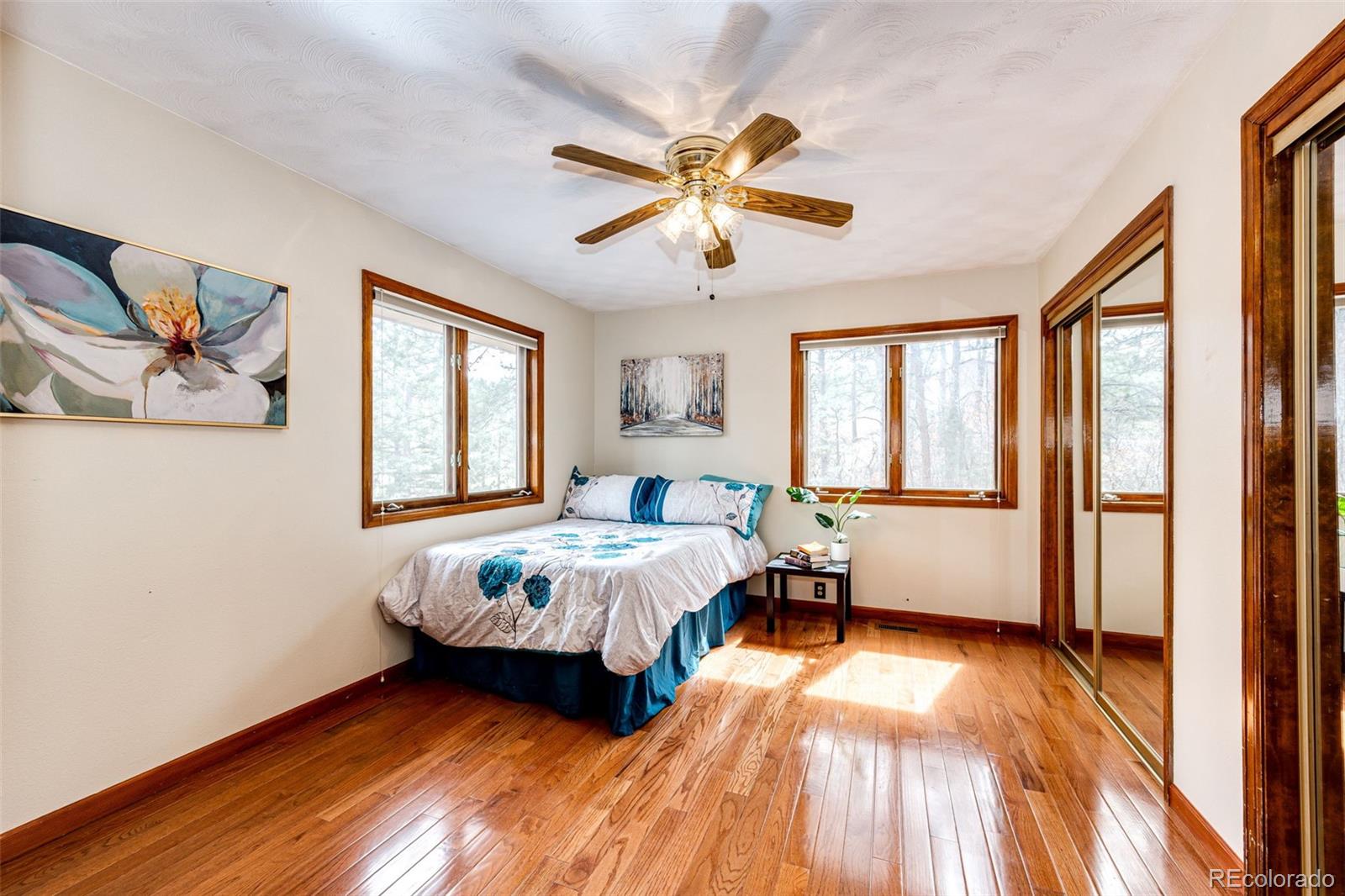 MLS Image #19 for 530  windmill road,castle rock, Colorado