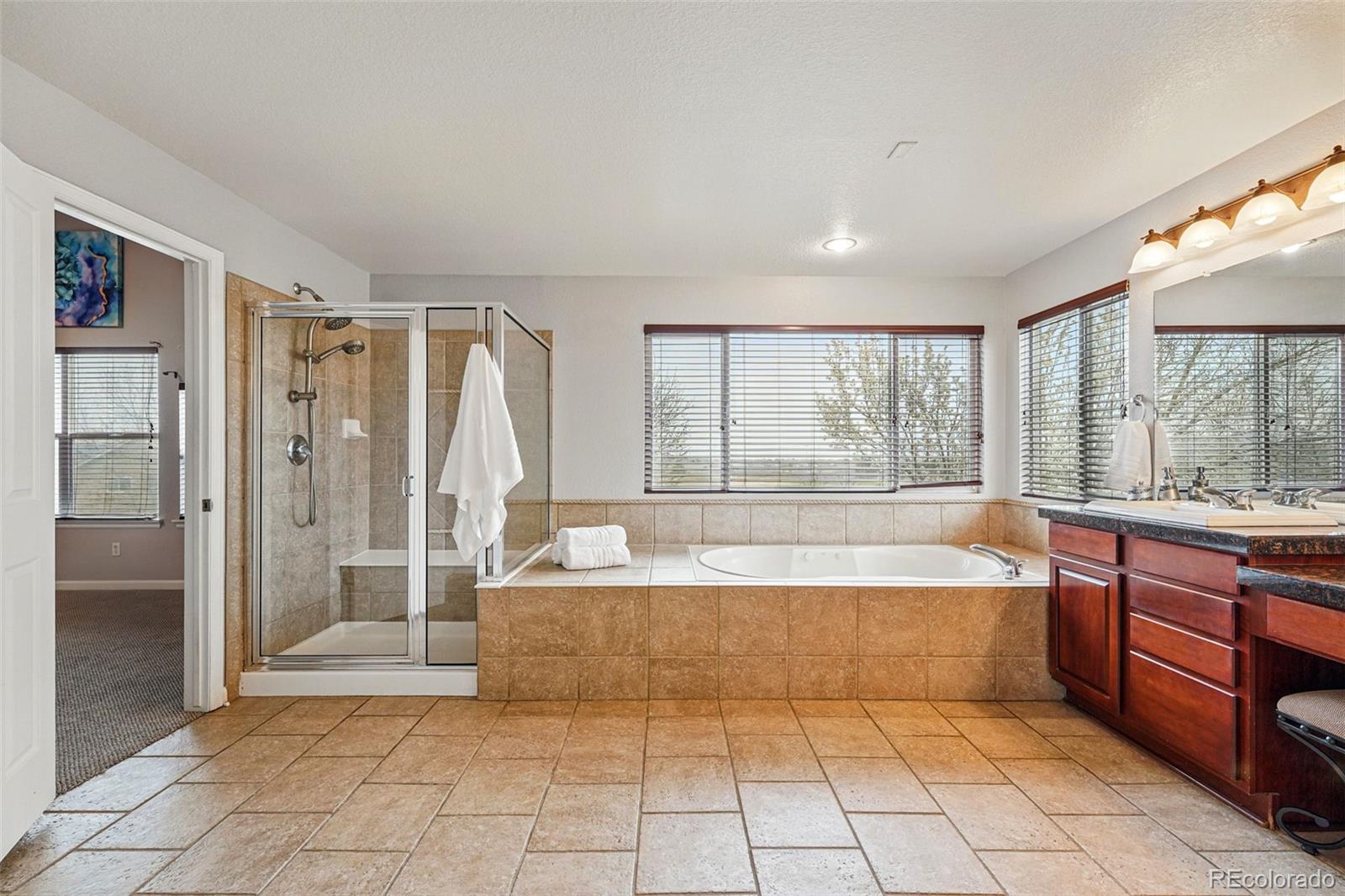 MLS Image #22 for 13686  dexter street,thornton, Colorado