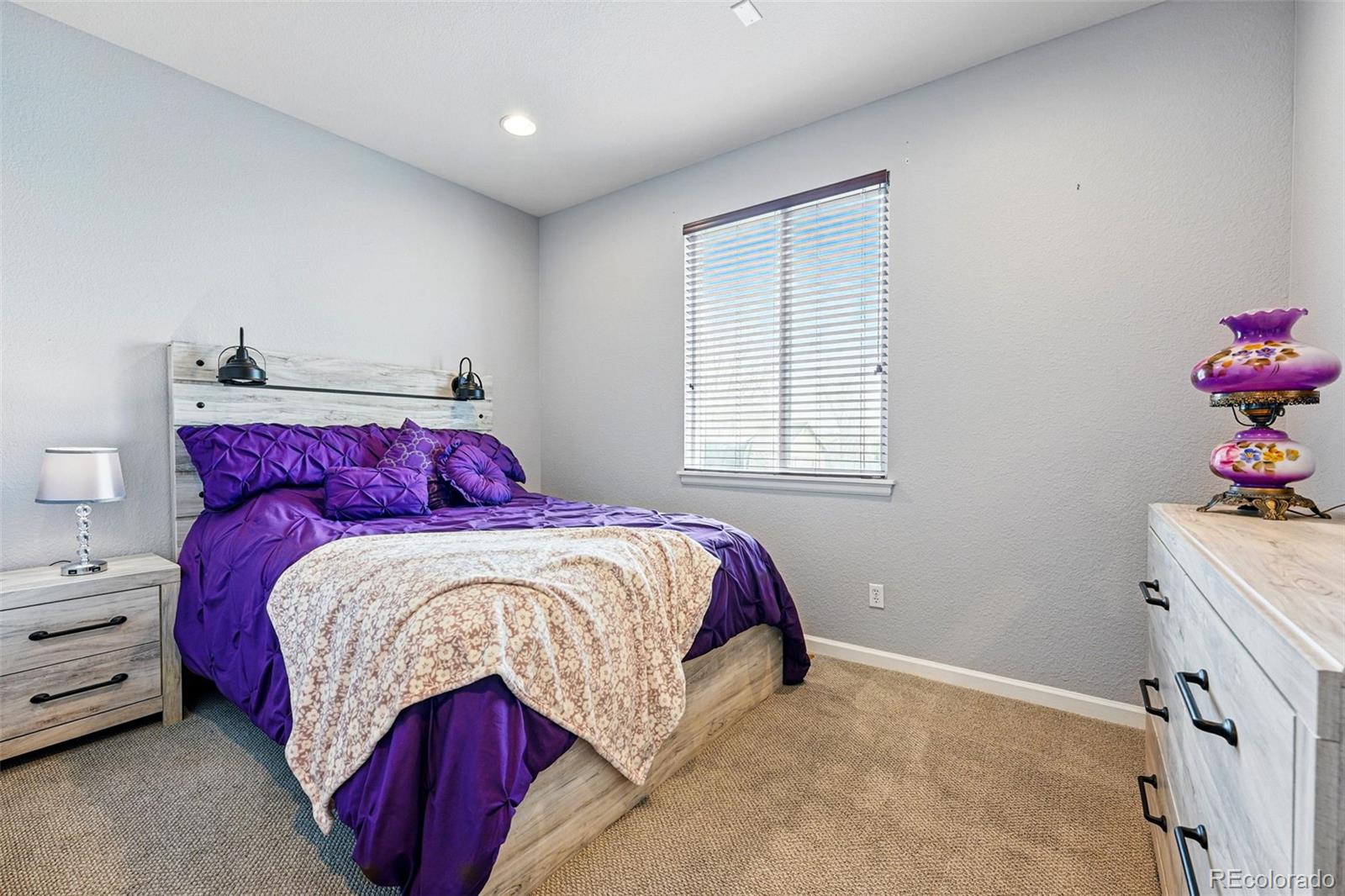 MLS Image #29 for 13686  dexter street,thornton, Colorado