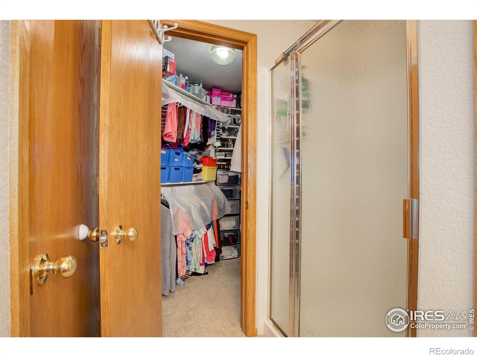 MLS Image #16 for 514  sedgwick drive,fort collins, Colorado