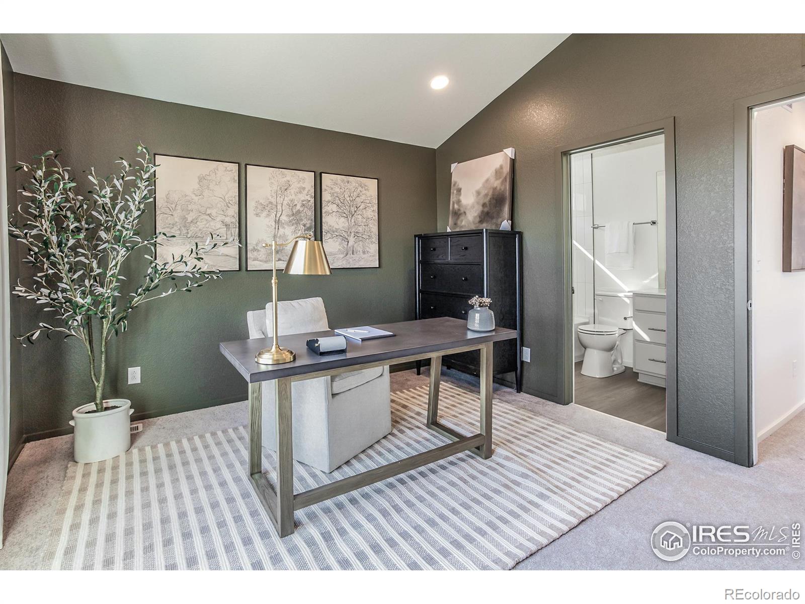 MLS Image #21 for 3146  sykes drive,fort collins, Colorado