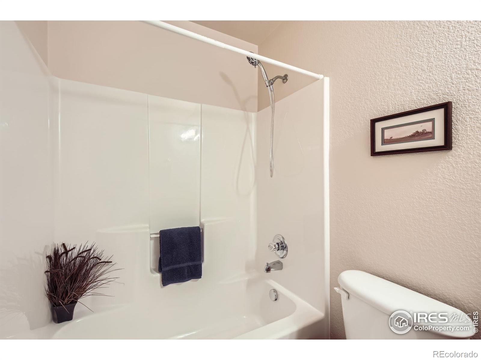 MLS Image #14 for 161  beacon way,windsor, Colorado
