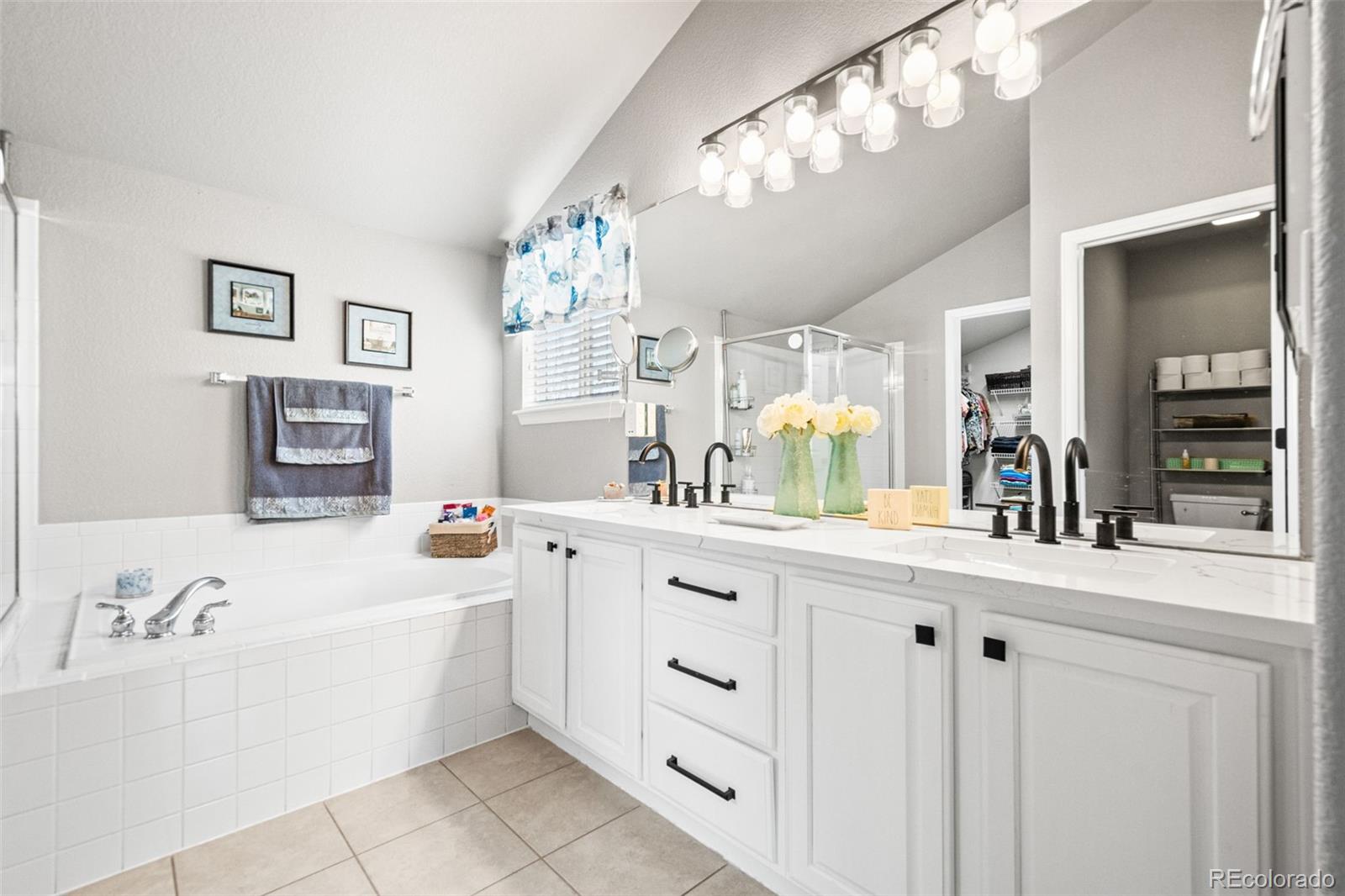 MLS Image #23 for 11356  mesa verde way,parker, Colorado