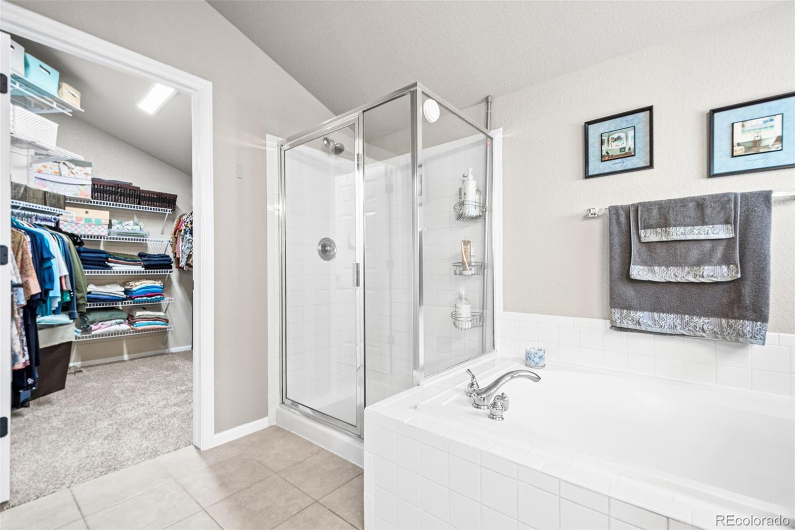 MLS Image #24 for 11356  mesa verde way,parker, Colorado
