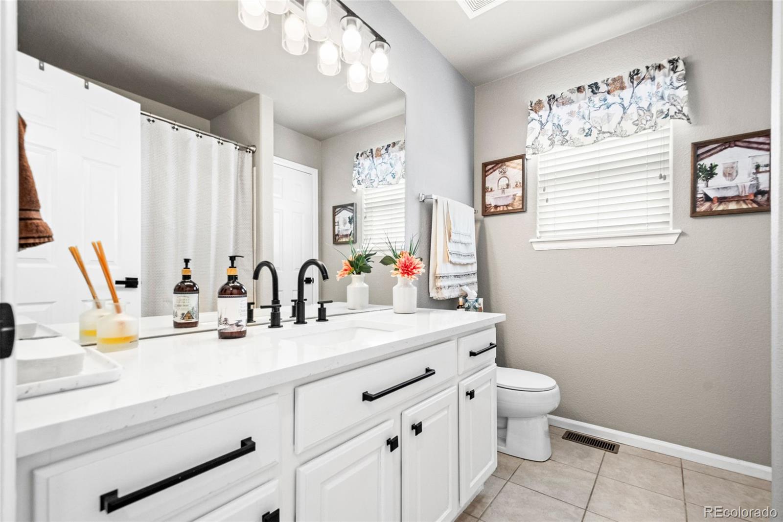 MLS Image #29 for 11356  mesa verde way,parker, Colorado