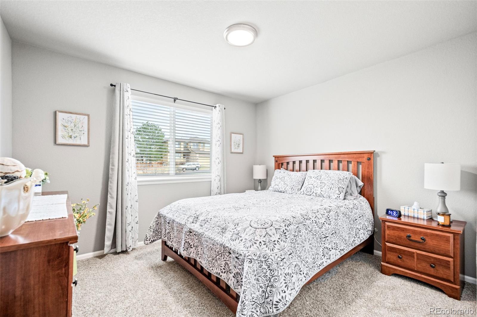 MLS Image #31 for 11356  mesa verde way,parker, Colorado