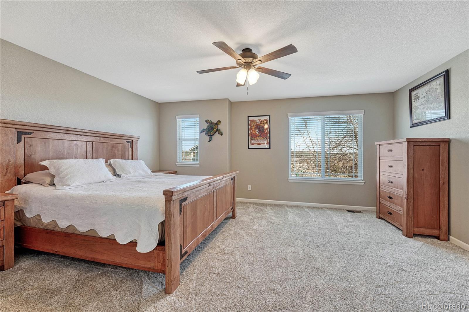 MLS Image #14 for 2976  open sky way,castle rock, Colorado