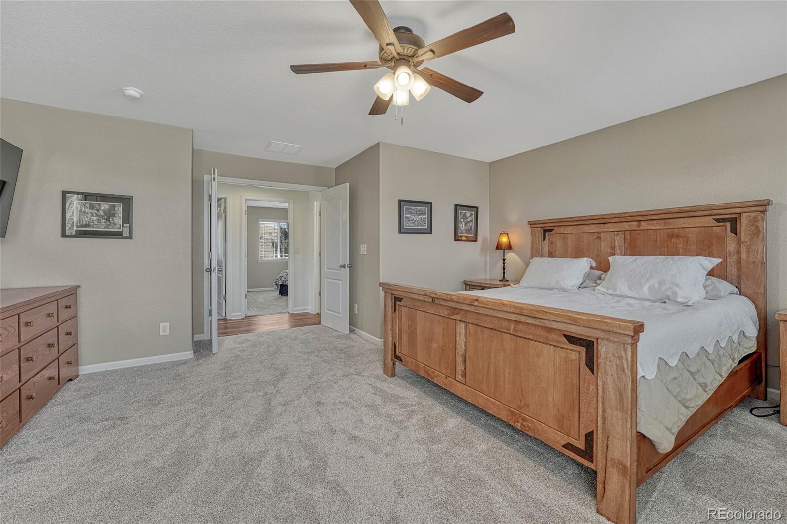 MLS Image #17 for 2976  open sky way,castle rock, Colorado
