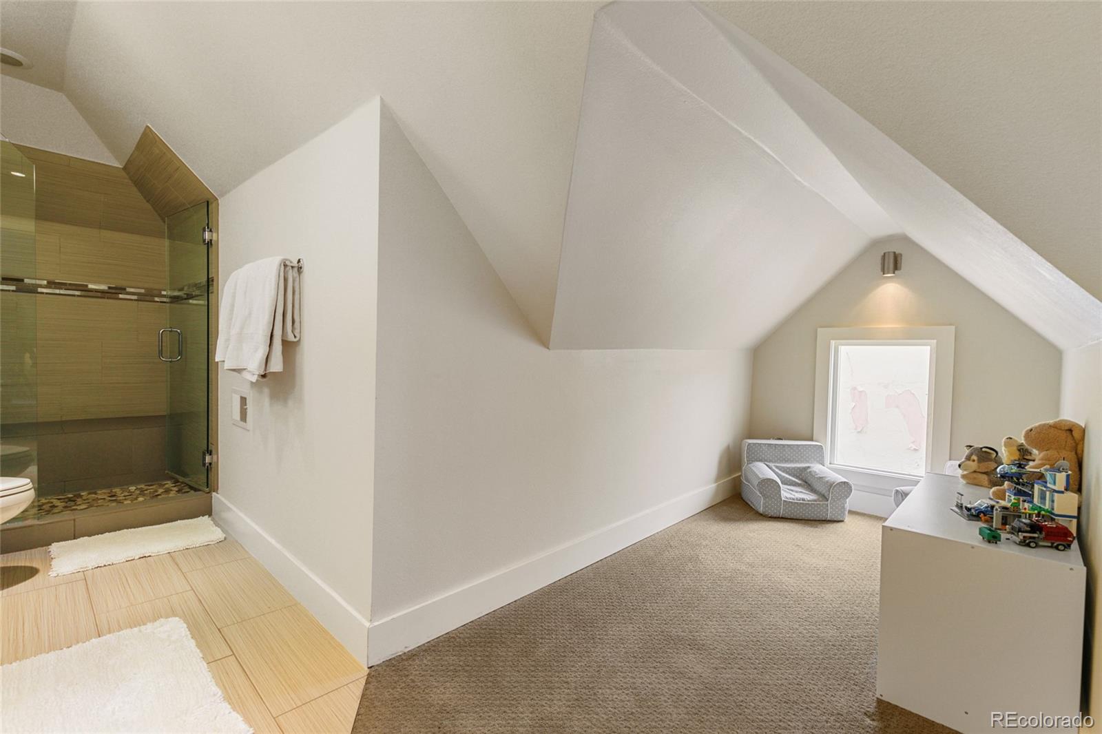 MLS Image #28 for 2224 n humboldt street,denver, Colorado