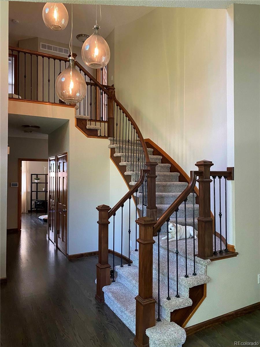 MLS Image #11 for 7167 s acoma street,littleton, Colorado