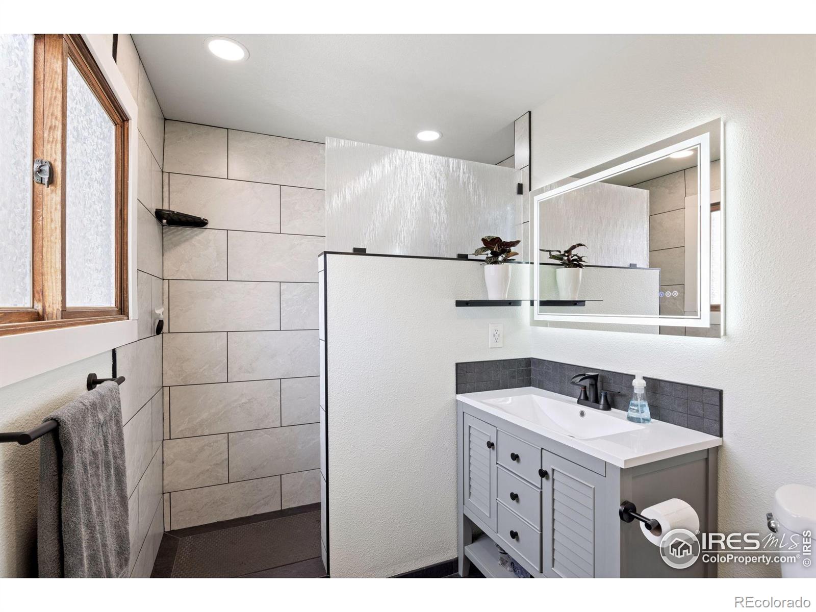MLS Image #21 for 3106  marshall ash drive,loveland, Colorado