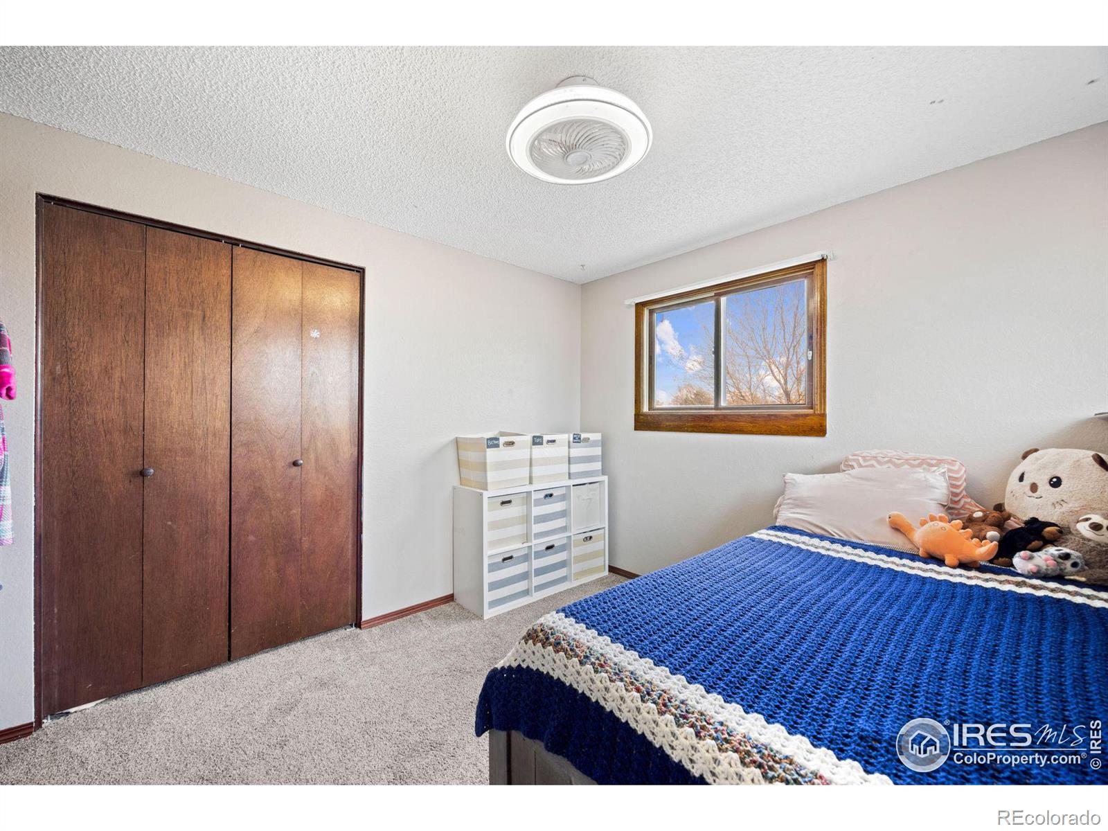 MLS Image #26 for 3106  marshall ash drive,loveland, Colorado