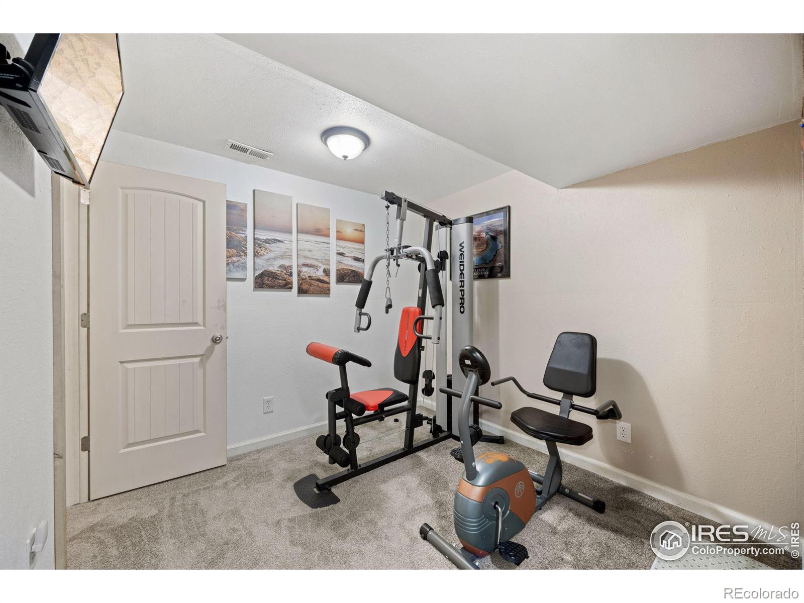 MLS Image #30 for 3106  marshall ash drive,loveland, Colorado
