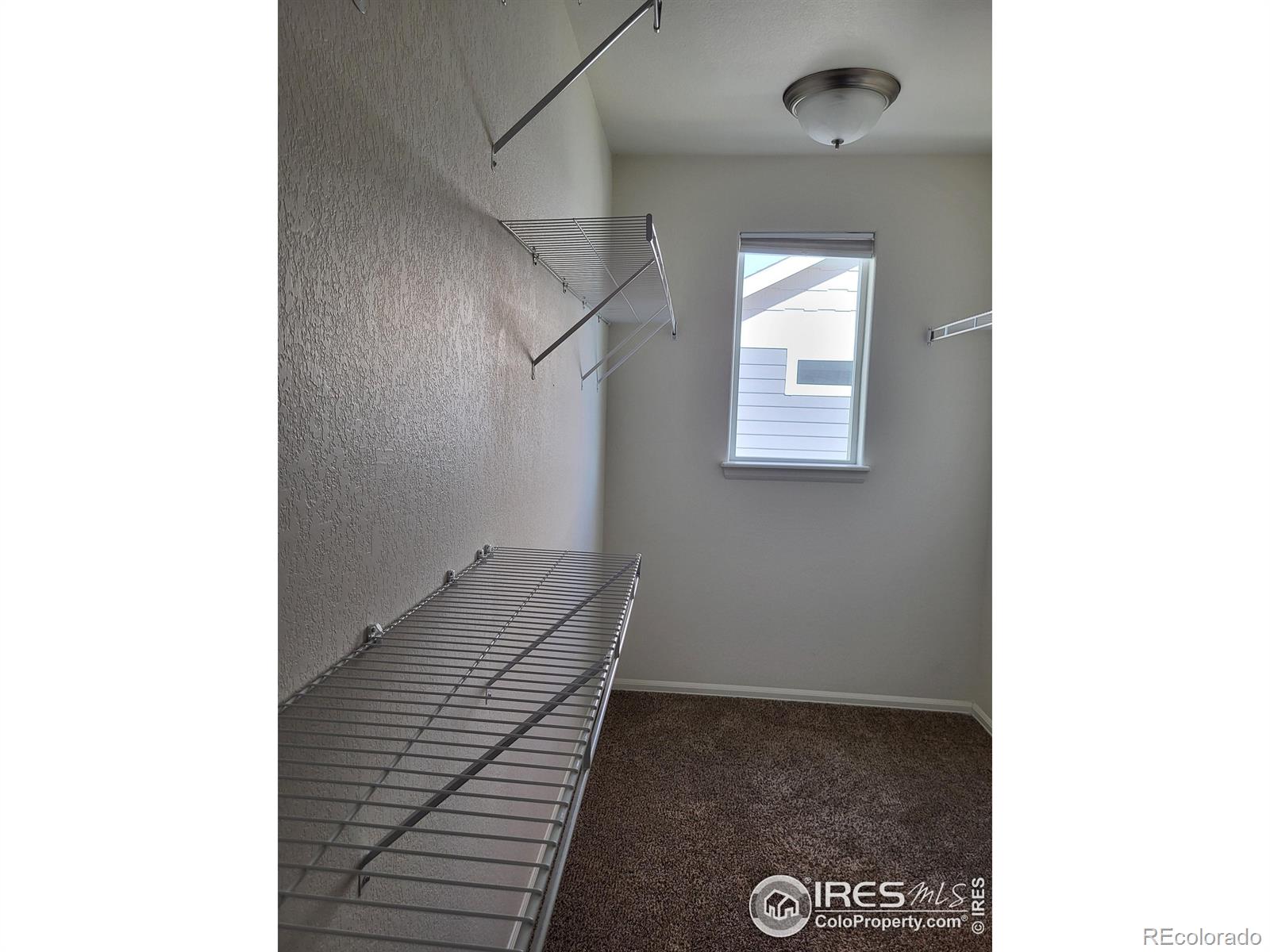 MLS Image #11 for 214  castle drive,severance, Colorado