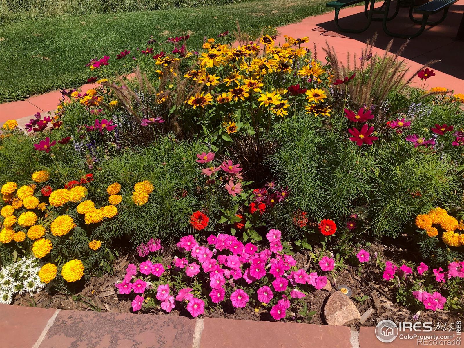 MLS Image #37 for 4450  chippewa drive,boulder, Colorado