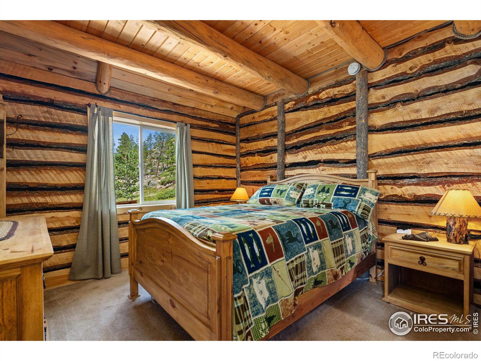 MLS Image #18 for 160  shuswap court,red feather lakes, Colorado
