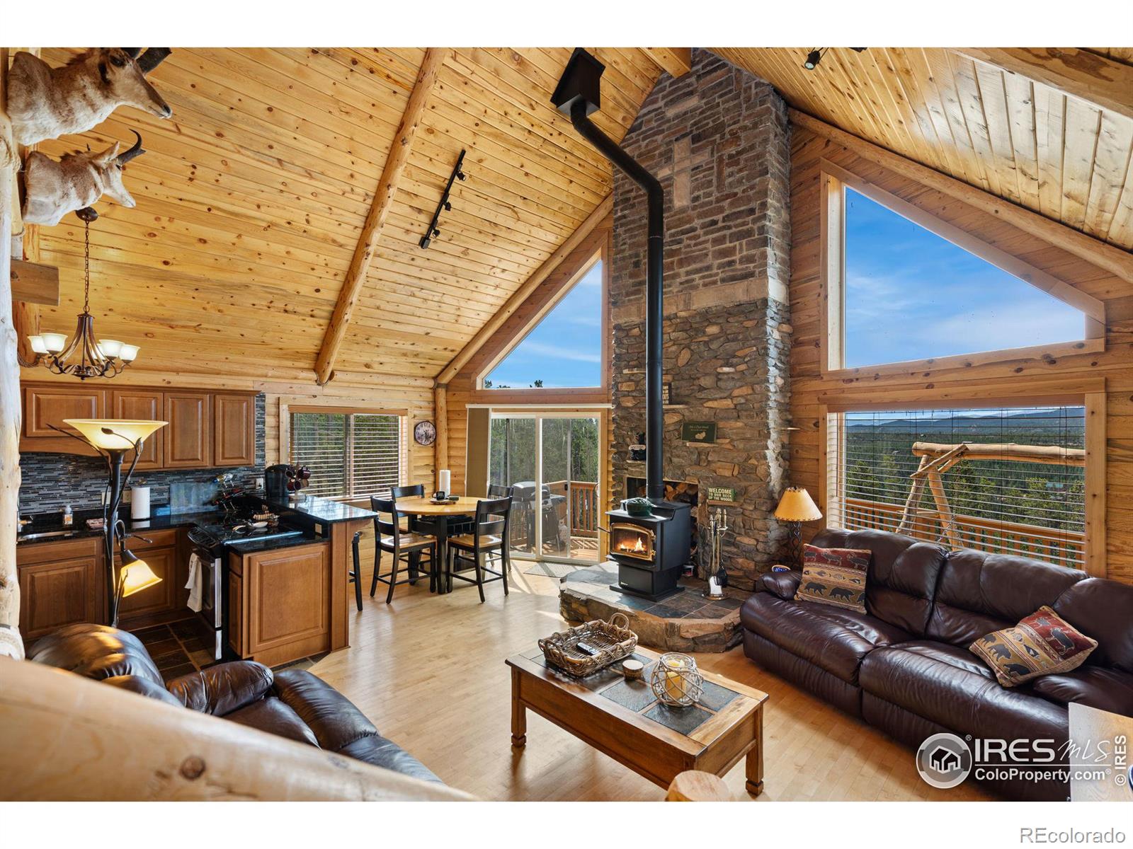 MLS Image #2 for 160  shuswap court,red feather lakes, Colorado