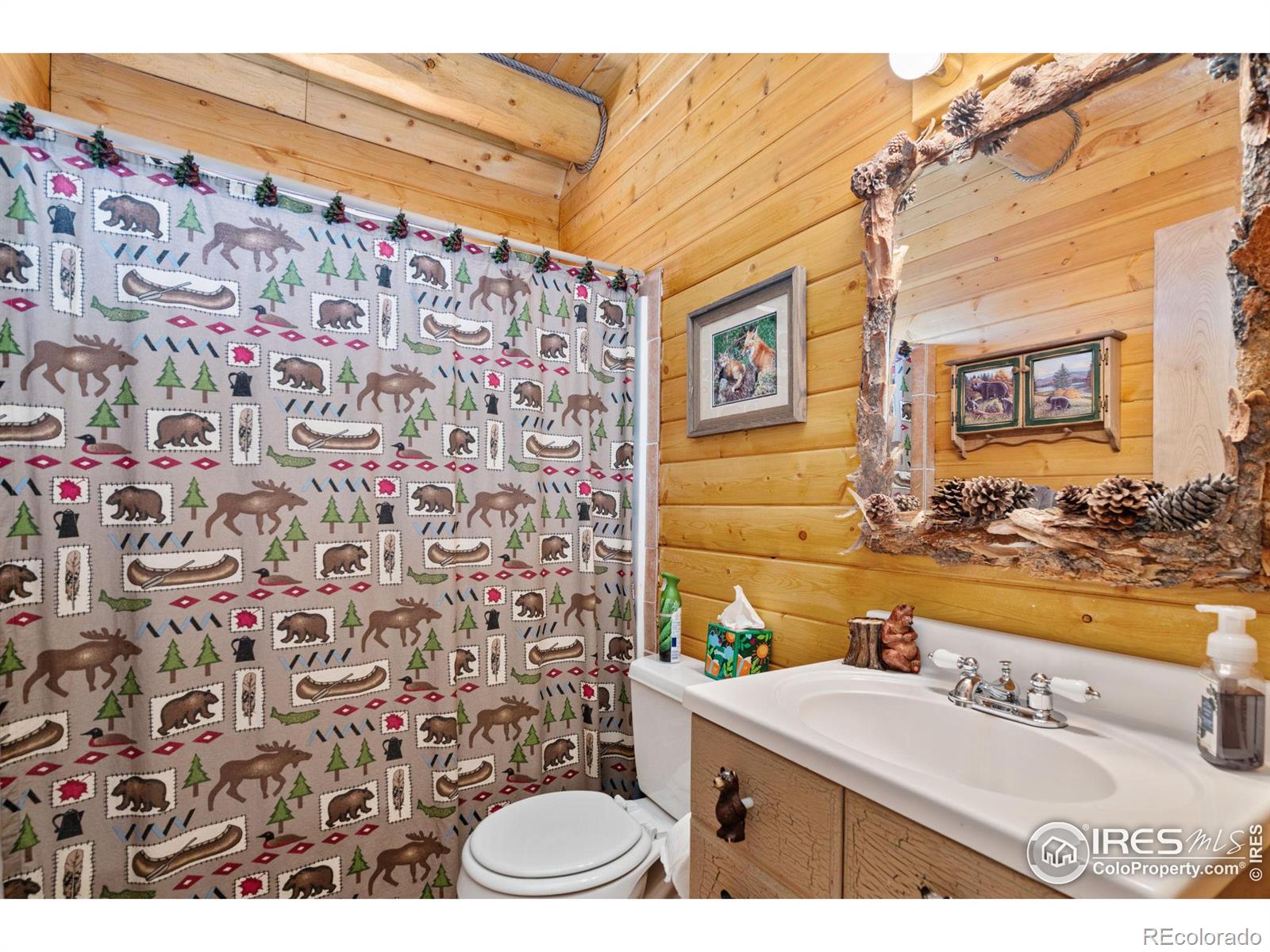 MLS Image #20 for 160  shuswap court,red feather lakes, Colorado