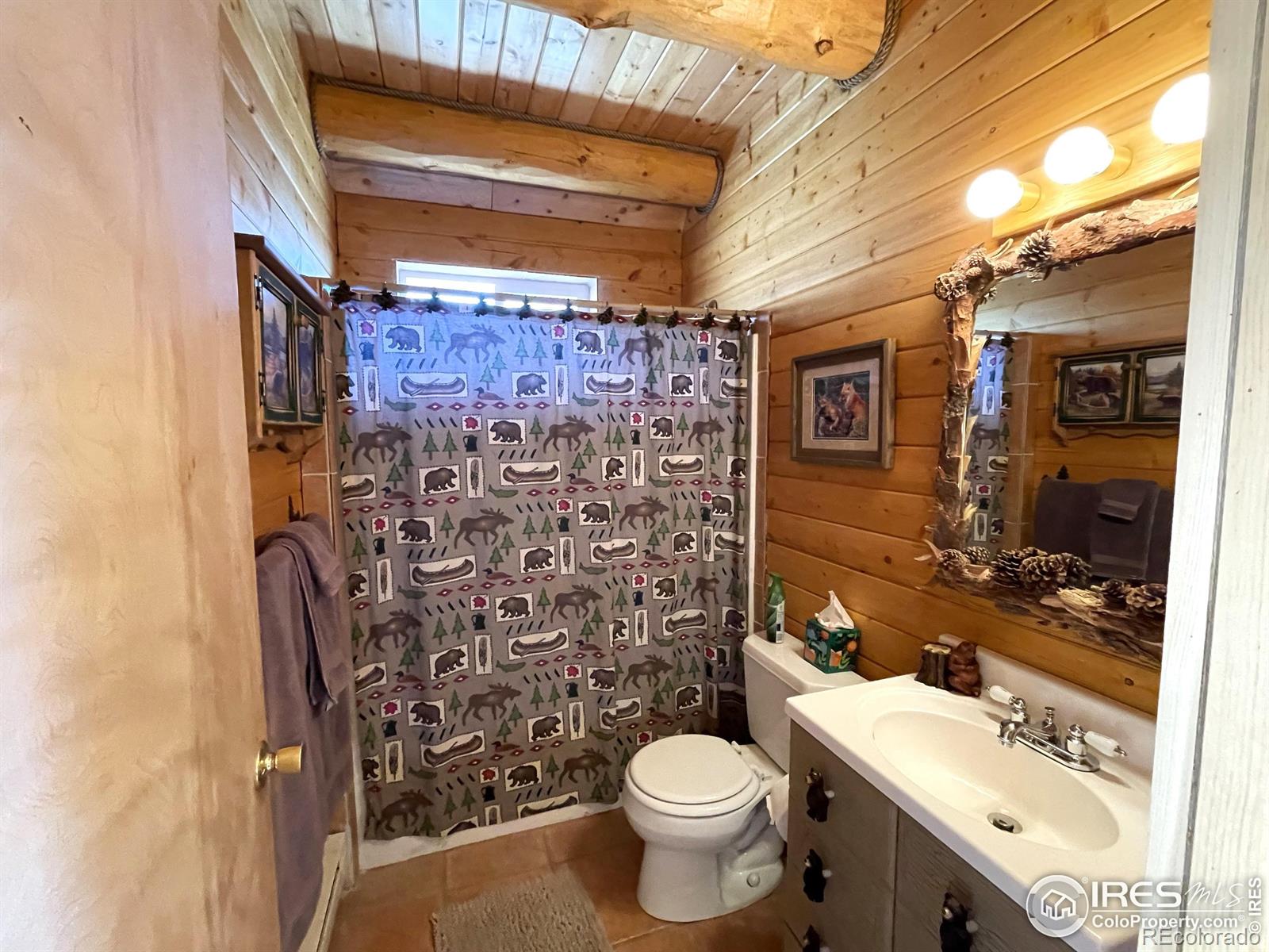 MLS Image #21 for 160  shuswap court,red feather lakes, Colorado