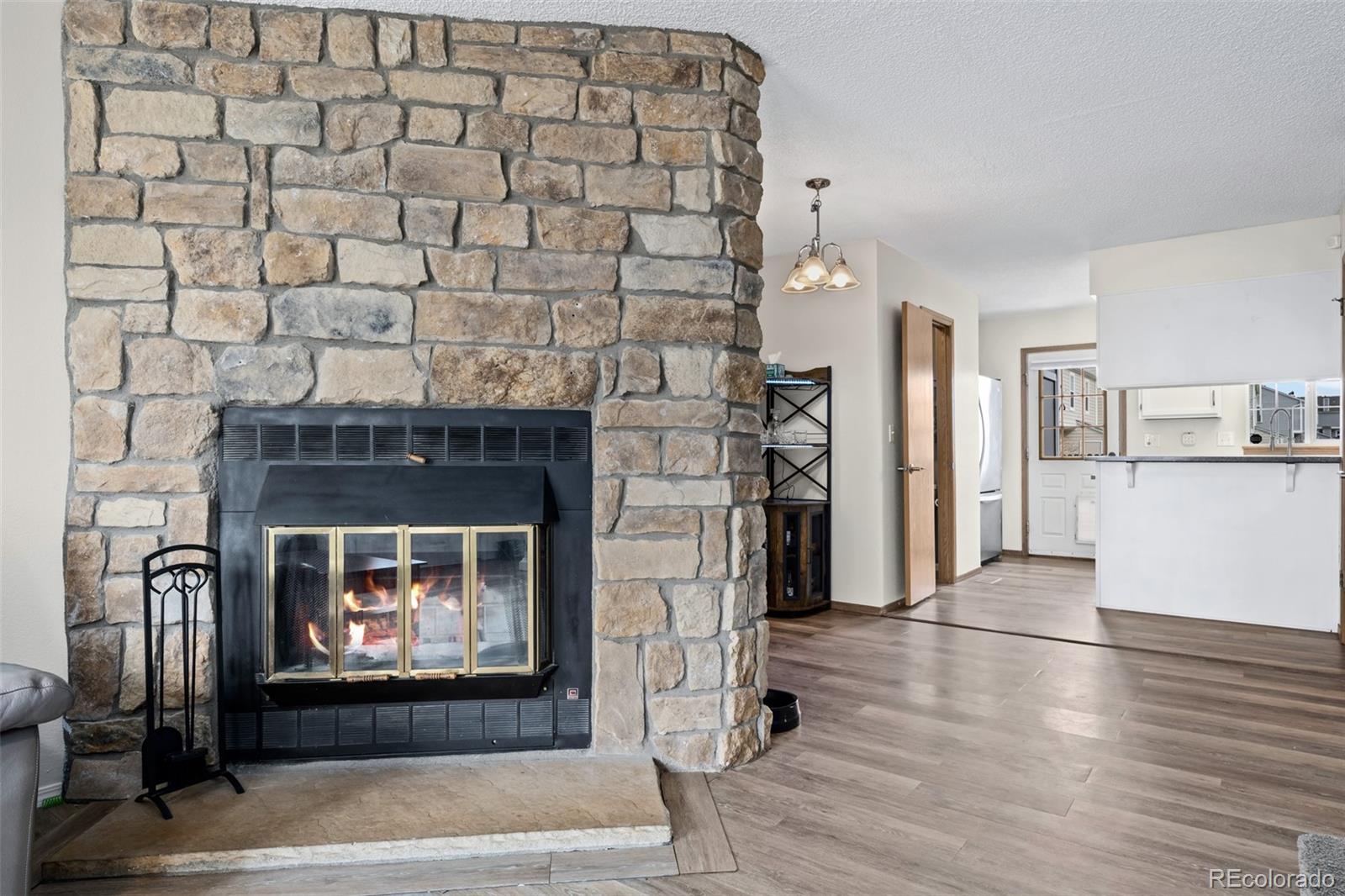 MLS Image #5 for 10808  bayfield way ,parker, Colorado