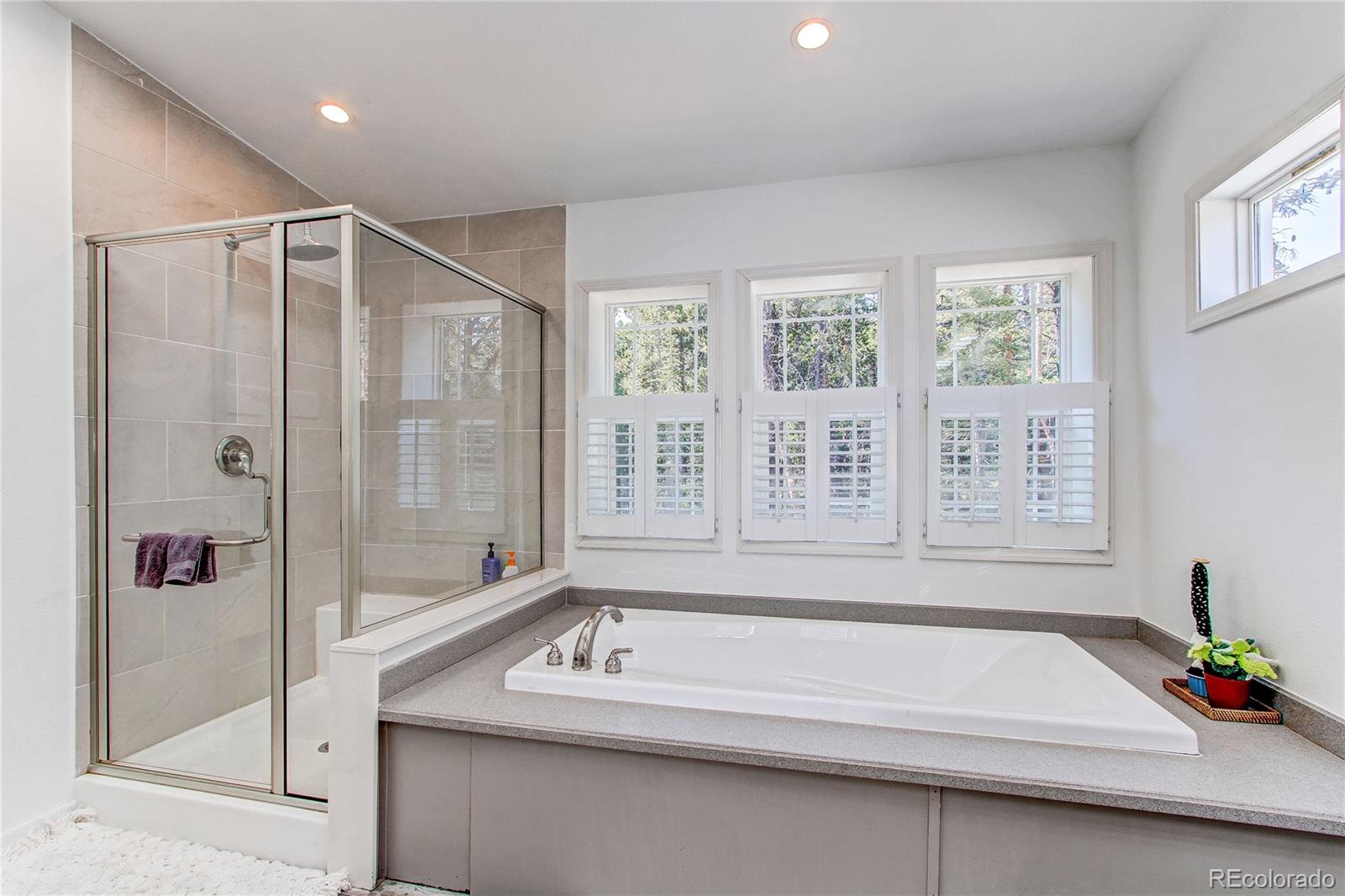 MLS Image #11 for 877  sacramento crossing,fairplay, Colorado