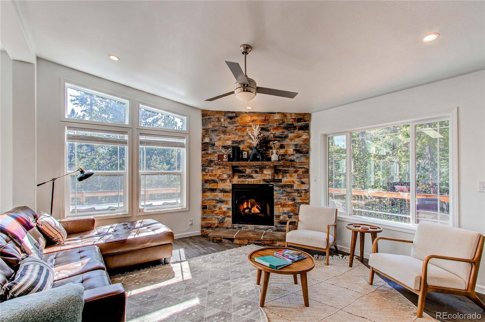 MLS Image #15 for 877  sacramento crossing,fairplay, Colorado