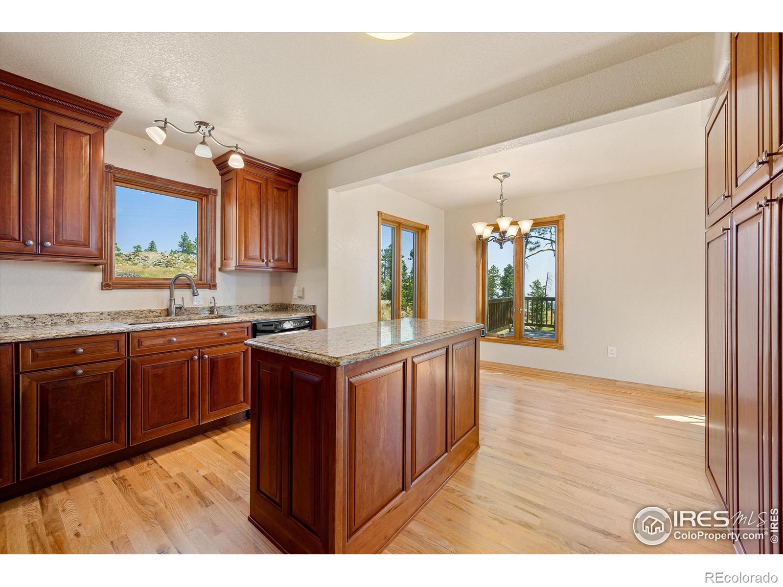 MLS Image #18 for 3805  davis ranch road,bellvue, Colorado