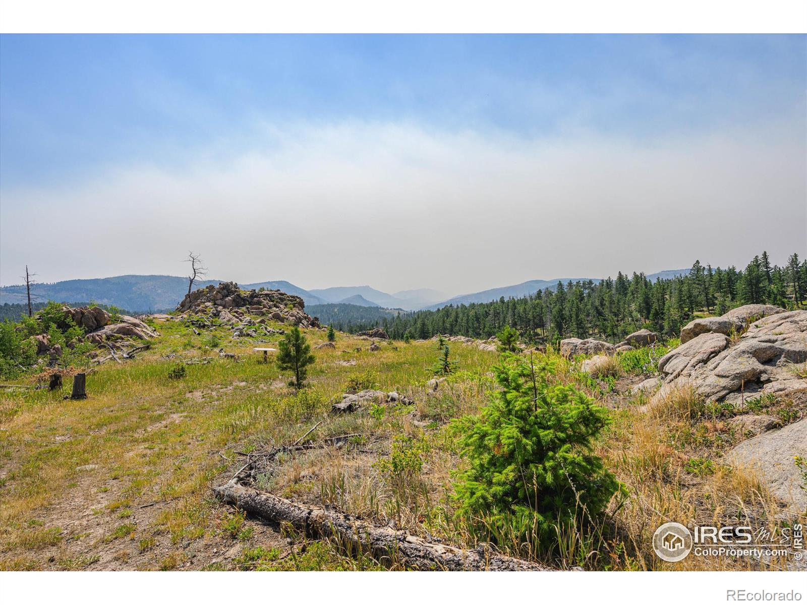 MLS Image #36 for 3805  davis ranch road,bellvue, Colorado