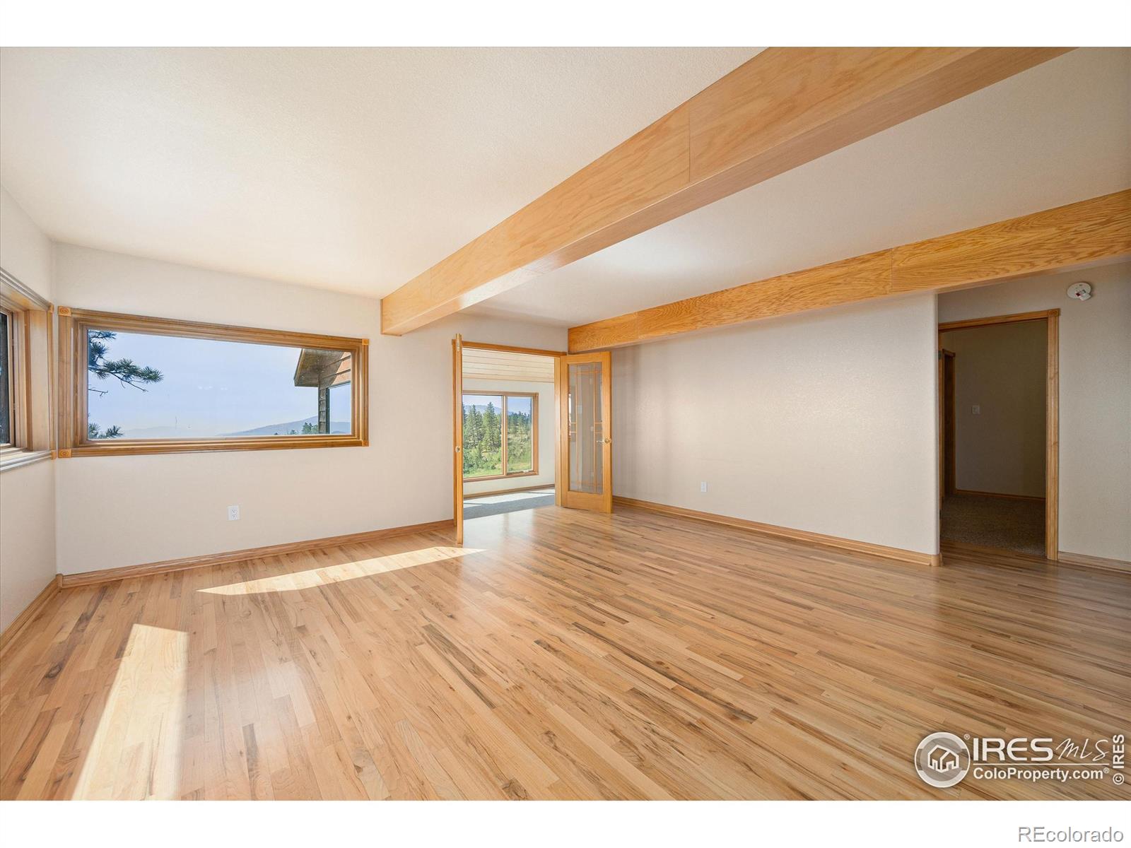 MLS Image #6 for 3805  davis ranch road,bellvue, Colorado