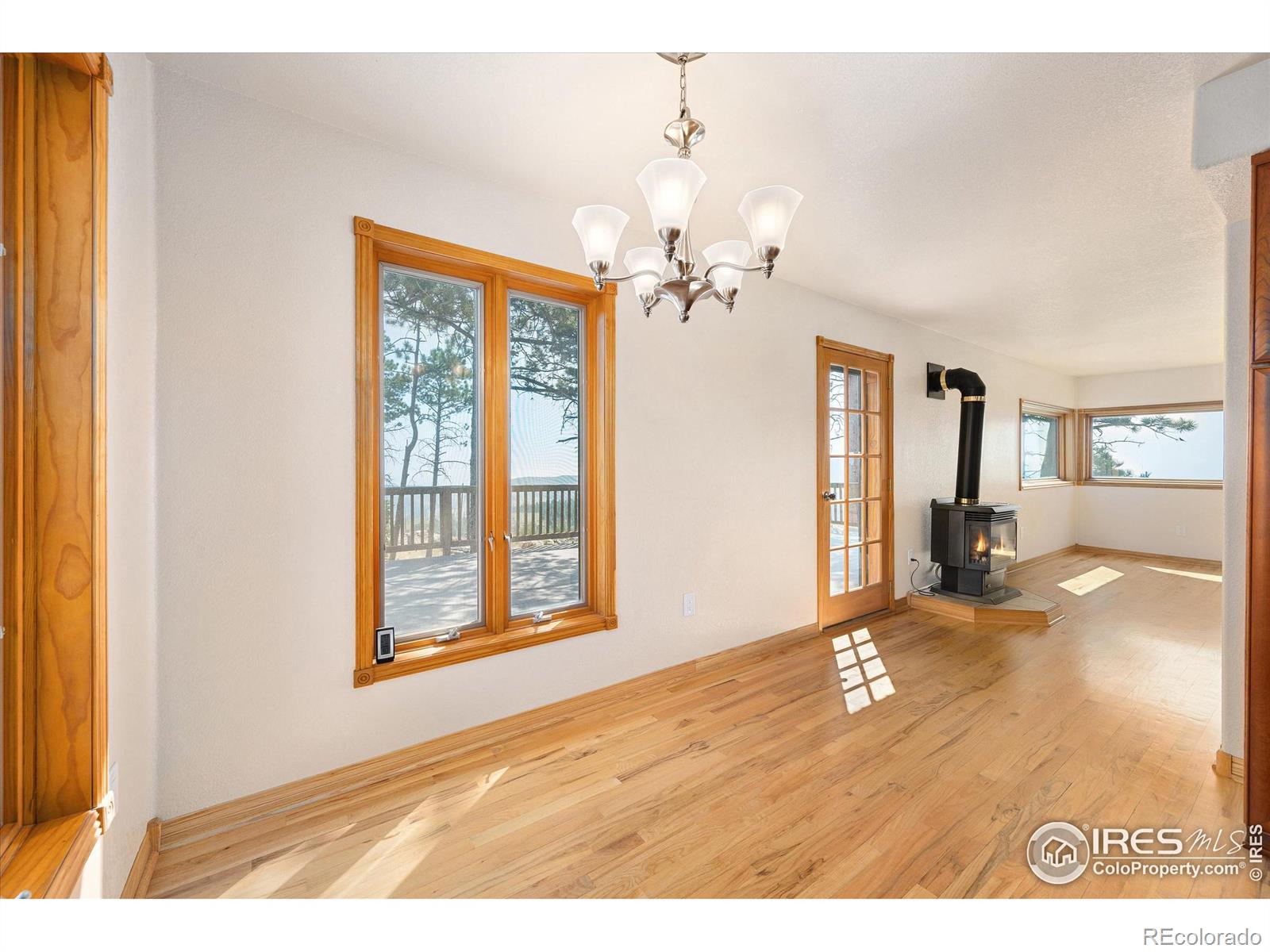 MLS Image #9 for 3805  davis ranch road,bellvue, Colorado