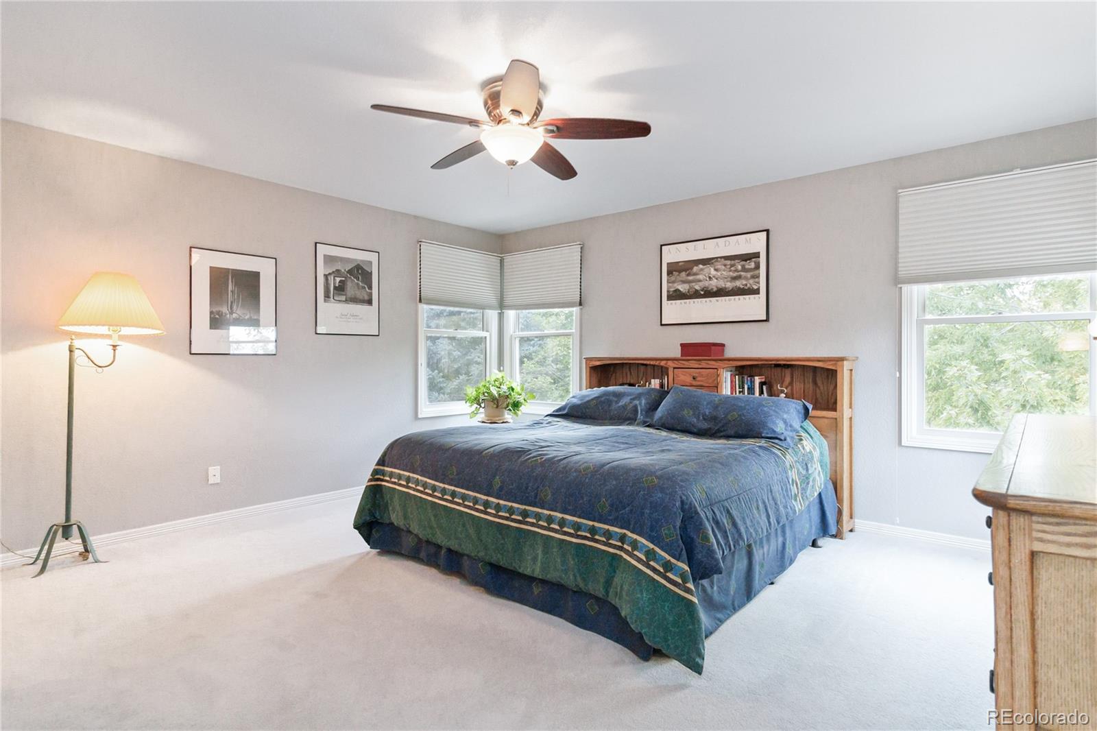 MLS Image #27 for 10565  kalahari court,lone tree, Colorado