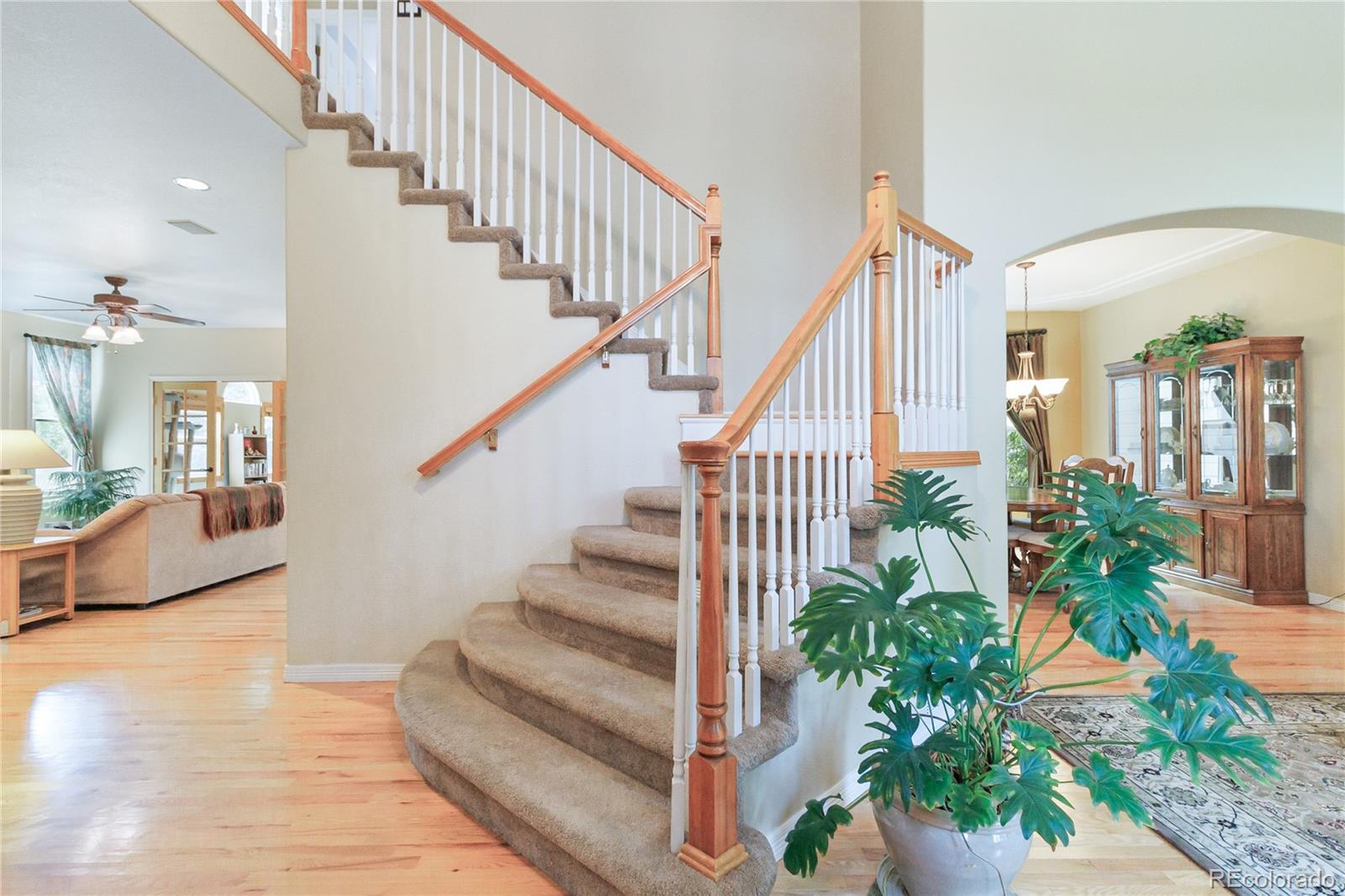 MLS Image #4 for 10565  kalahari court,lone tree, Colorado