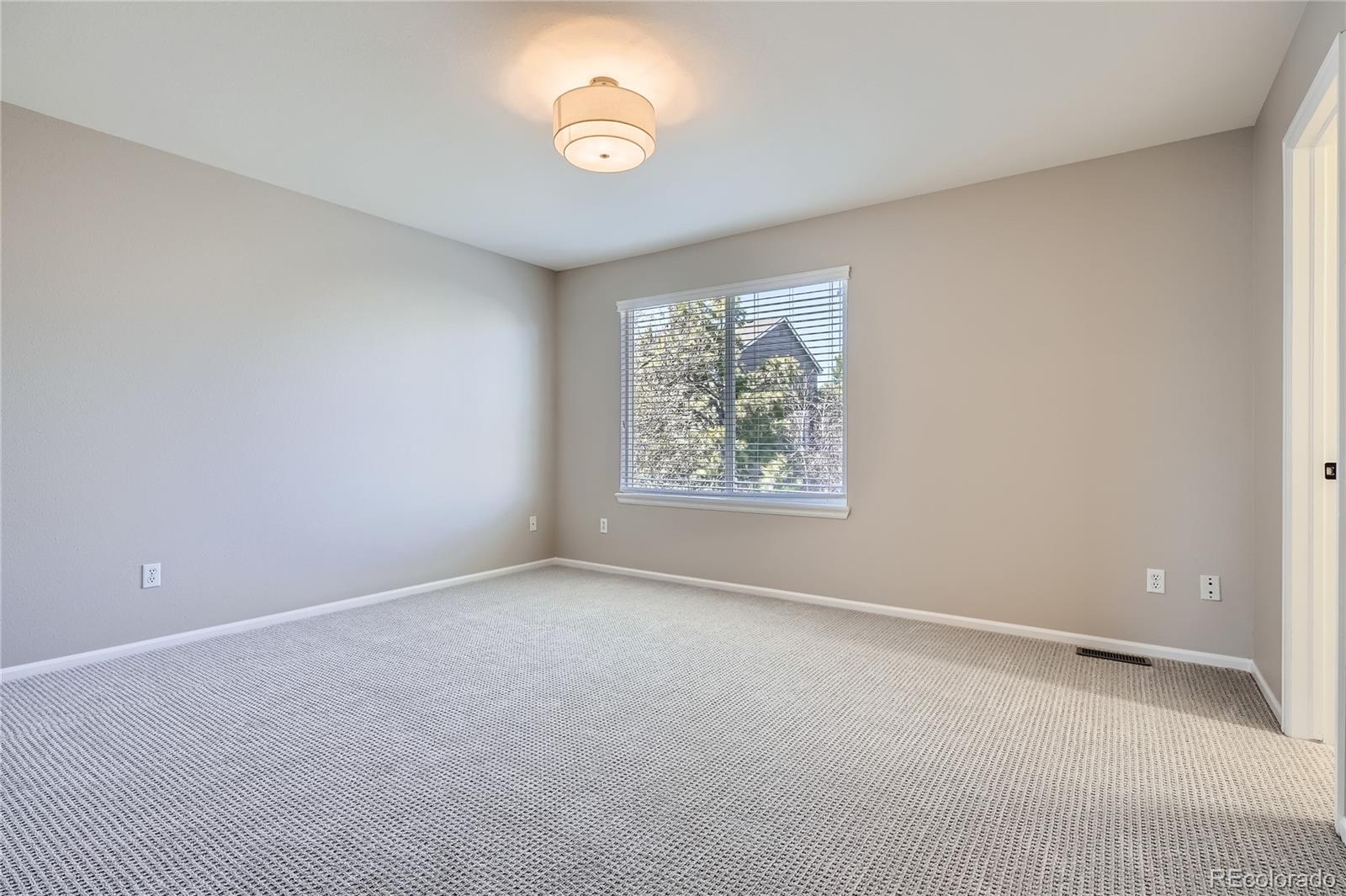 MLS Image #9 for 1169 n tabor drive,castle rock, Colorado