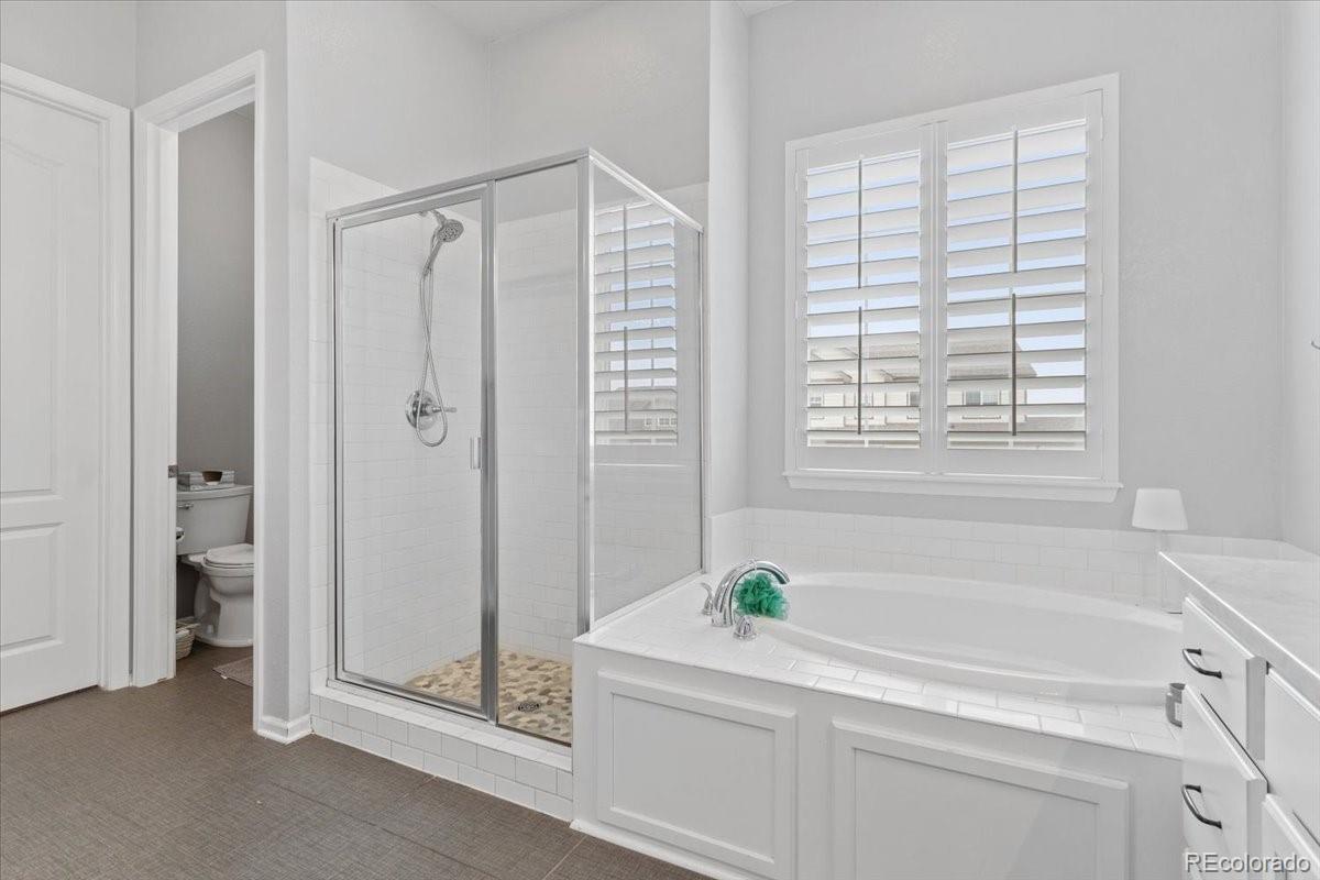 MLS Image #24 for 4866 s malta way,centennial, Colorado