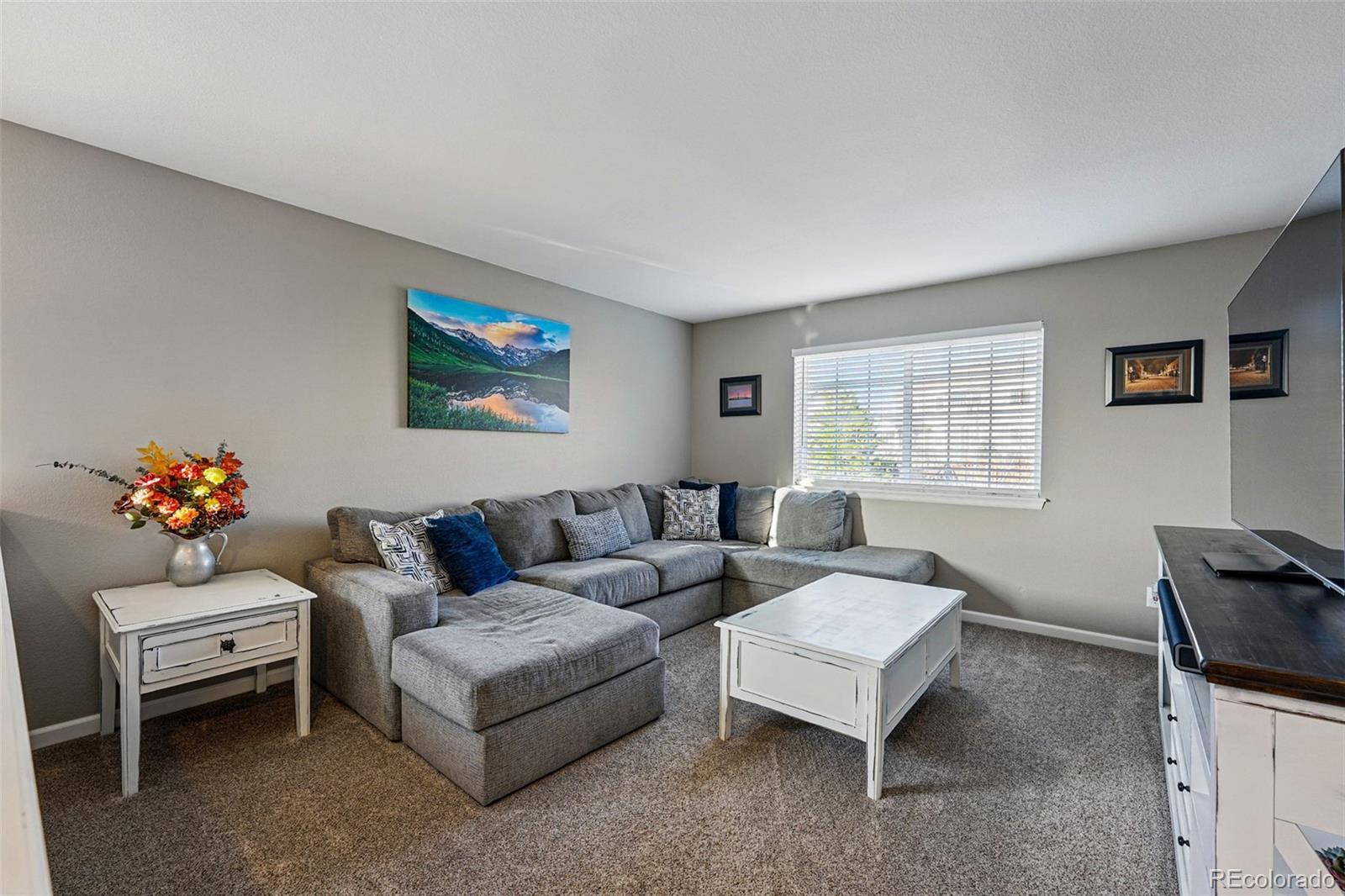 MLS Image #18 for 2837  black canyon way,castle rock, Colorado