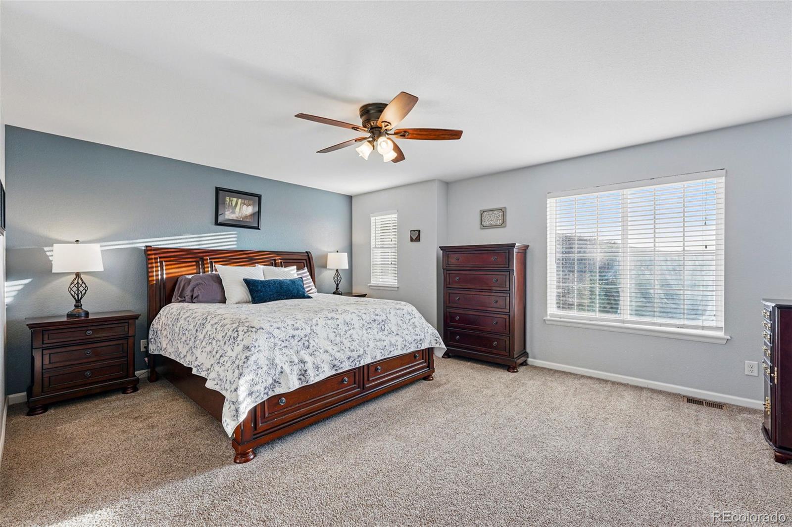 MLS Image #21 for 2837  black canyon way,castle rock, Colorado