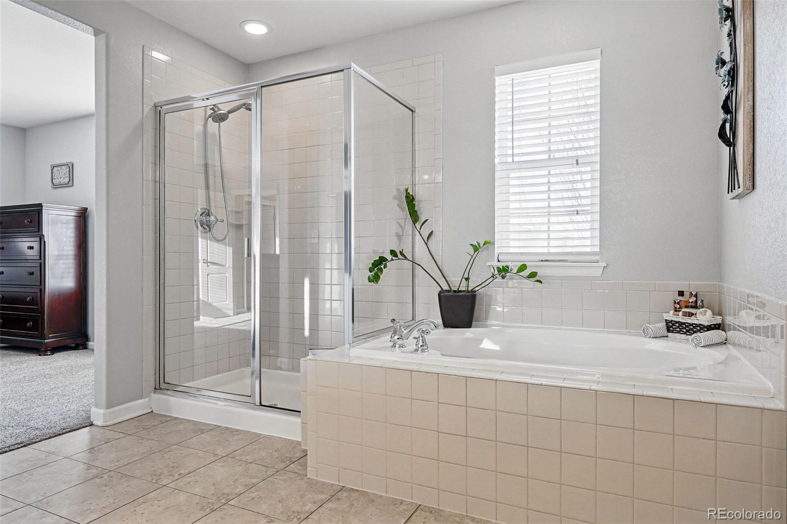 MLS Image #24 for 2837  black canyon way,castle rock, Colorado