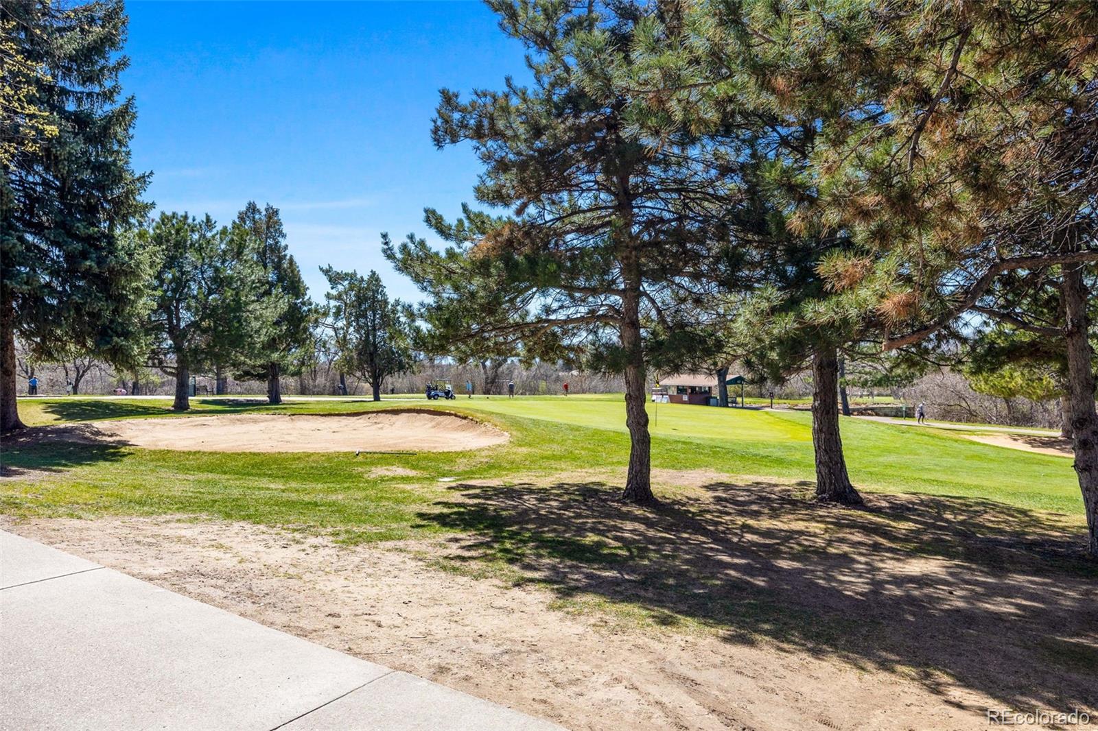 MLS Image #19 for 3492 s elm street,denver, Colorado