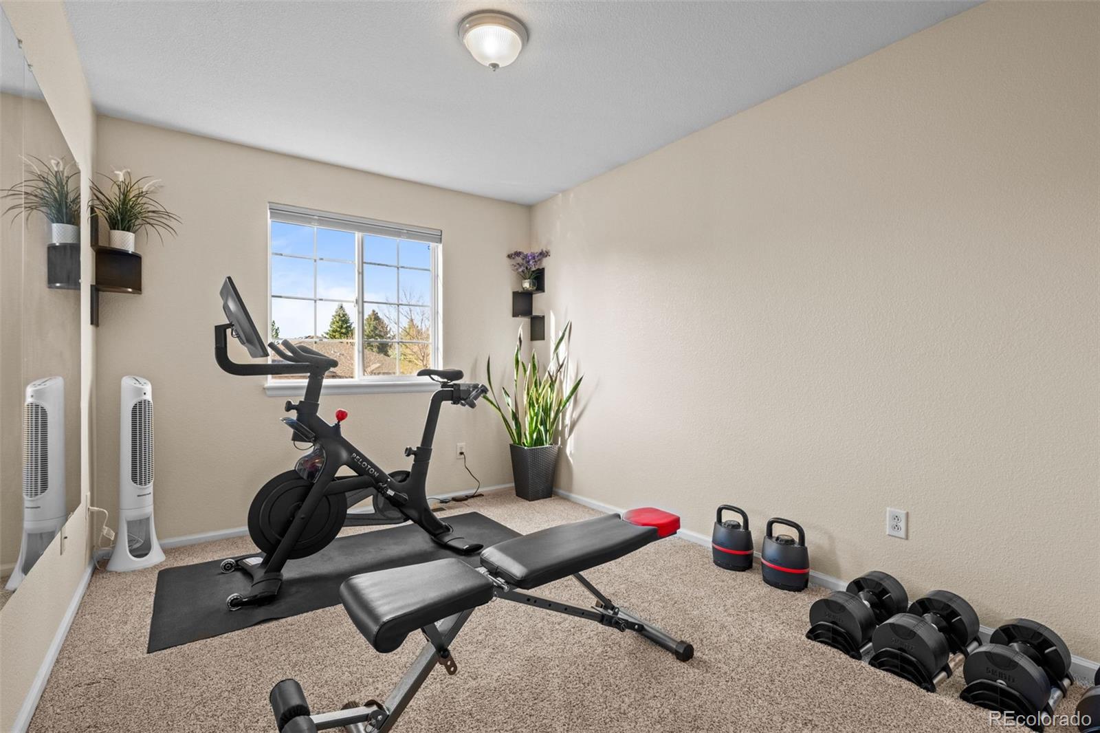 MLS Image #34 for 1271  berganot trail,castle pines, Colorado