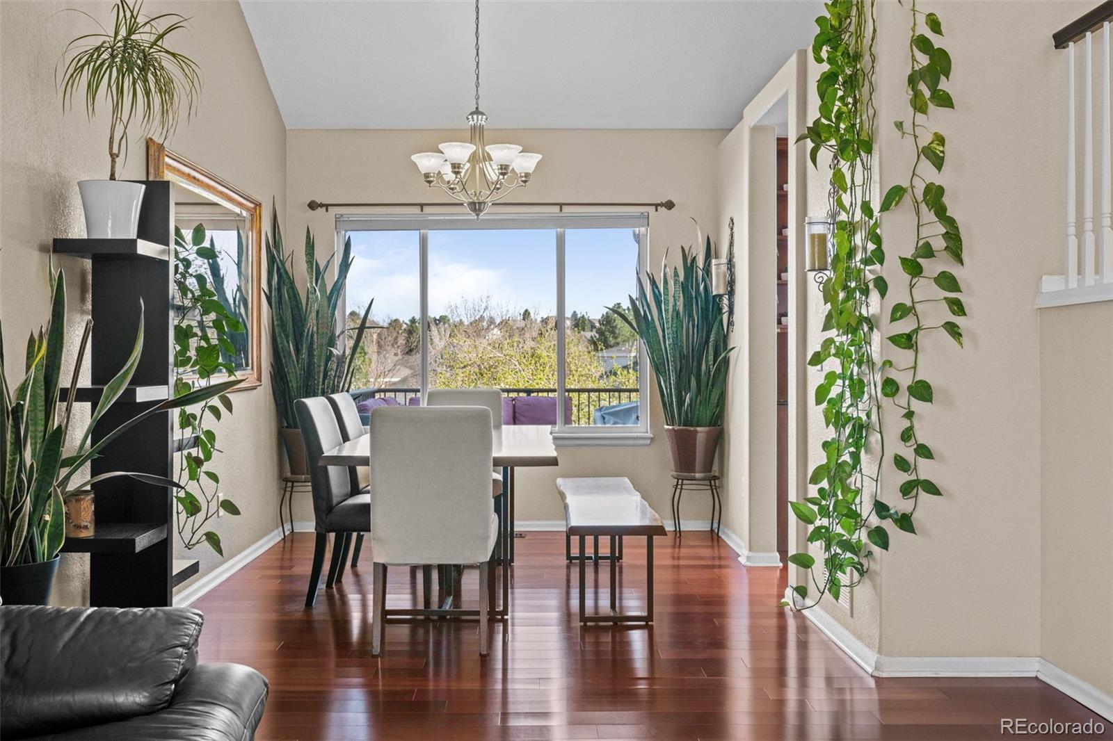 MLS Image #8 for 1271  berganot trail,castle pines, Colorado