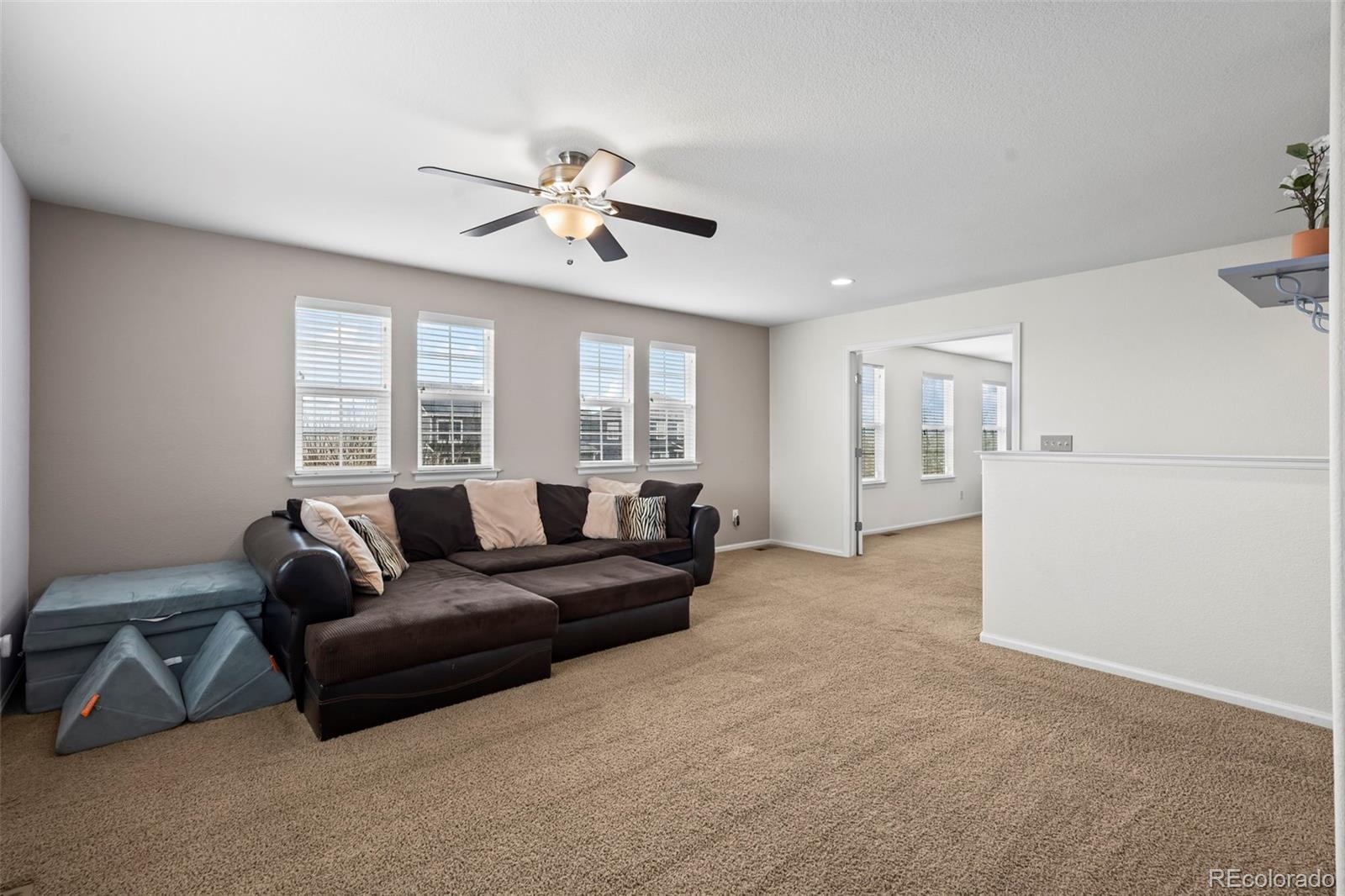 MLS Image #11 for 4797  longs peak street,brighton, Colorado
