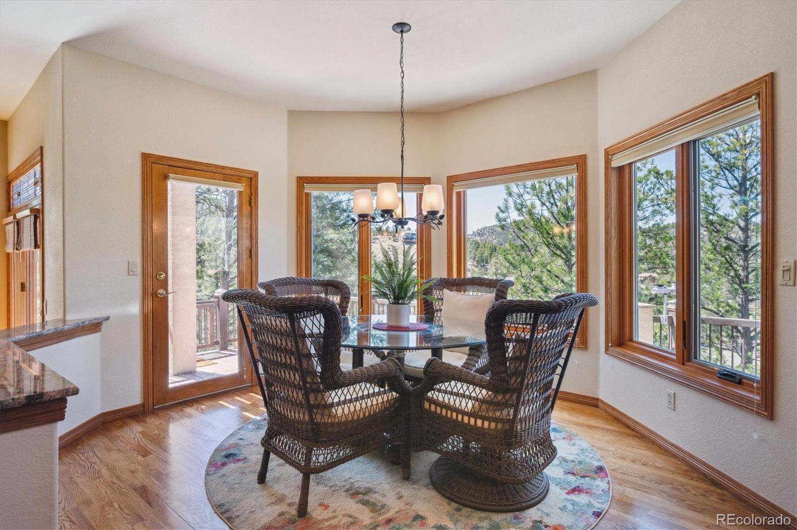 MLS Image #13 for 13695  may long court,pine, Colorado