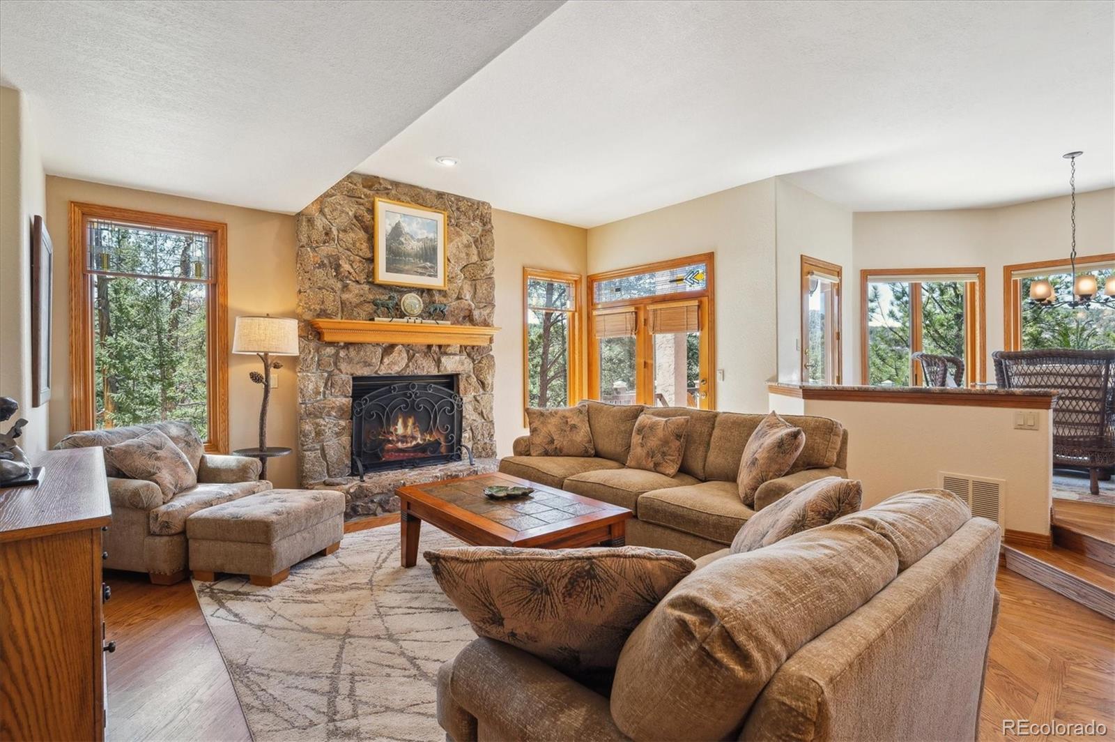 MLS Image #14 for 13695  may long court,pine, Colorado