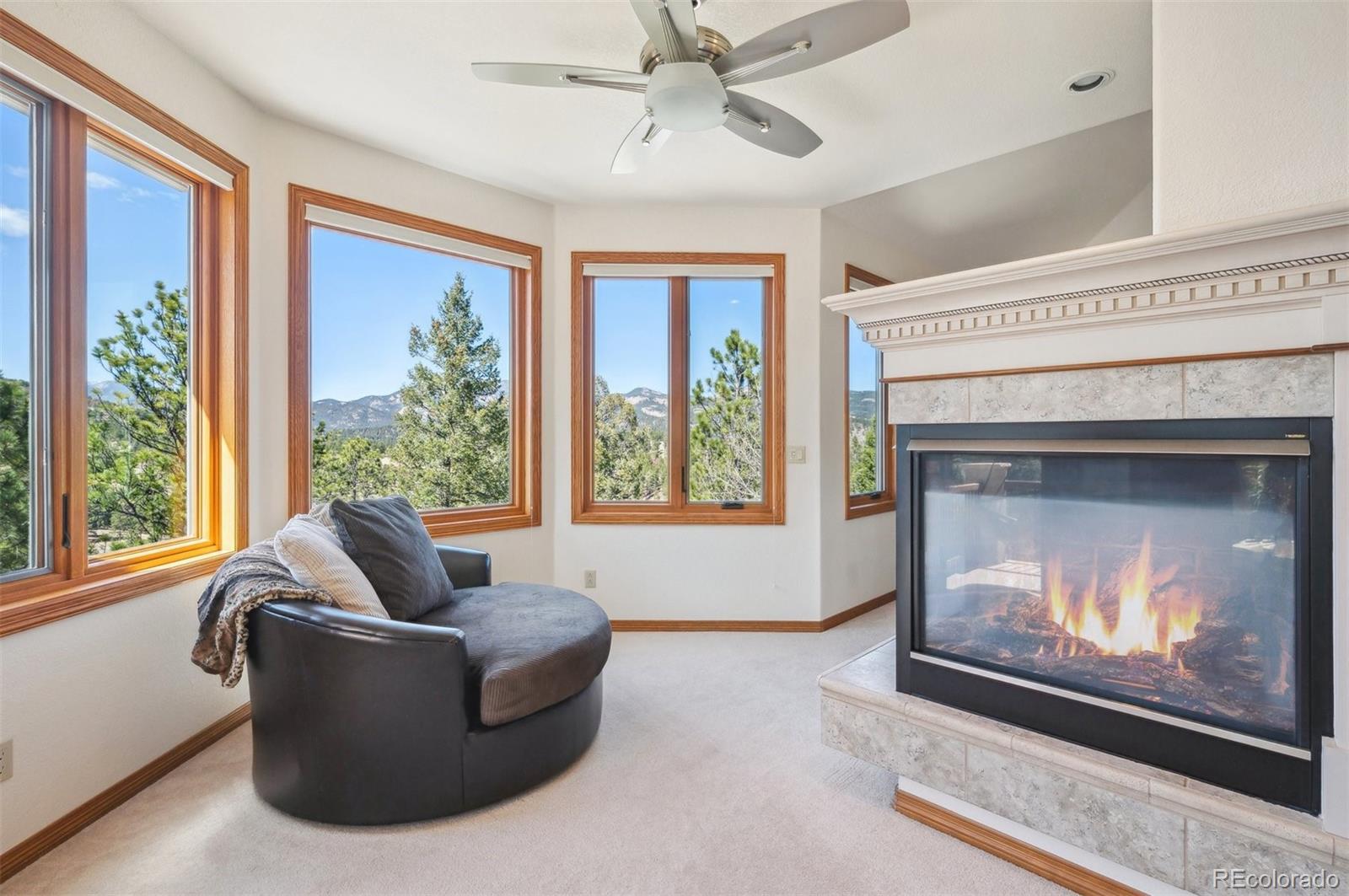 MLS Image #18 for 13695  may long court,pine, Colorado