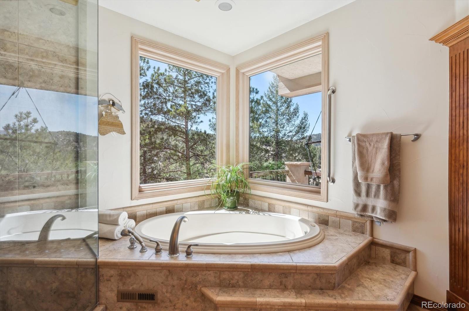 MLS Image #21 for 13695  may long court,pine, Colorado