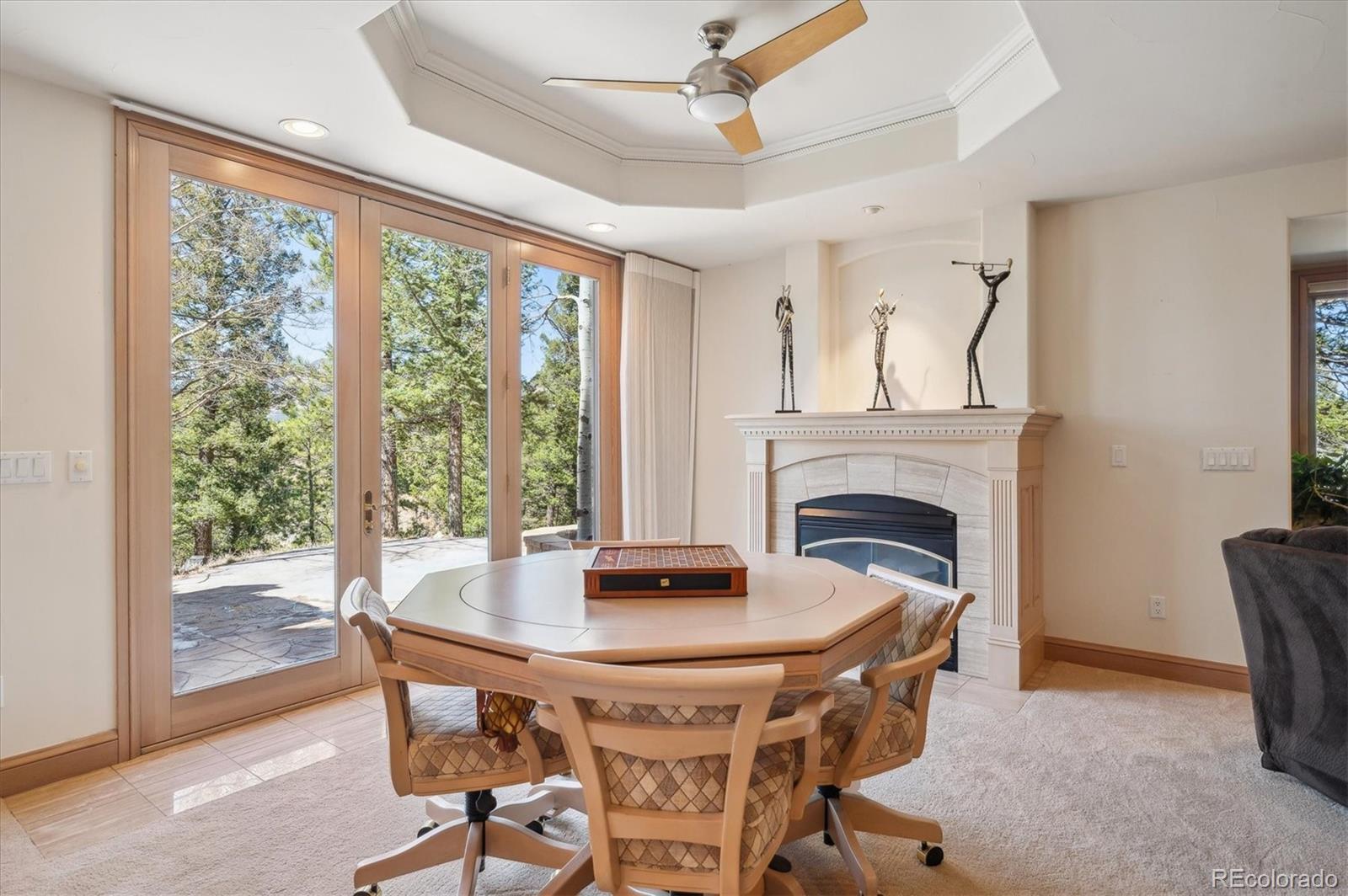 MLS Image #29 for 13695  may long court,pine, Colorado