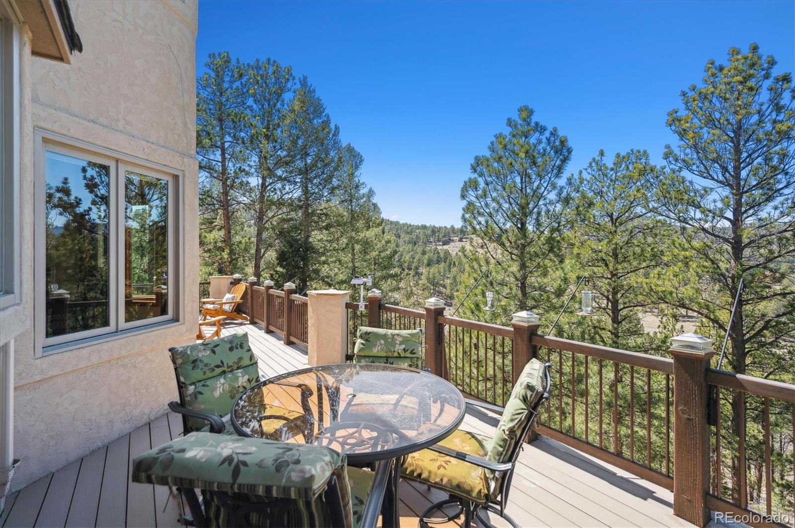MLS Image #39 for 13695  may long court,pine, Colorado