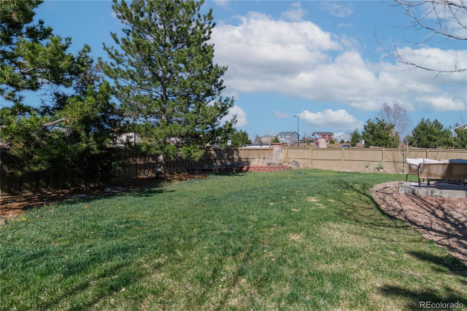 MLS Image #10 for 957  rosedale street,castle rock, Colorado